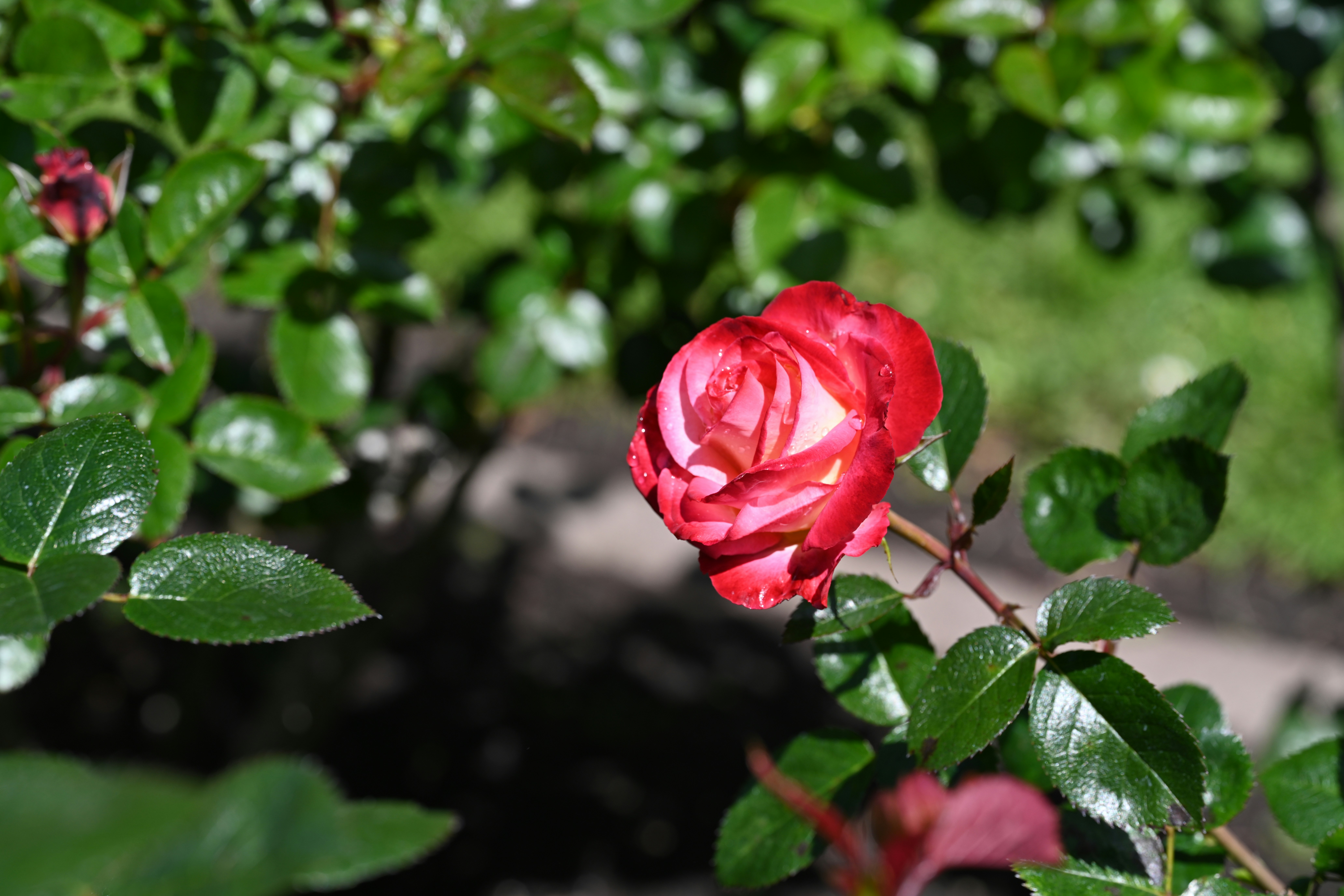 Photo by theunknownaldiaz