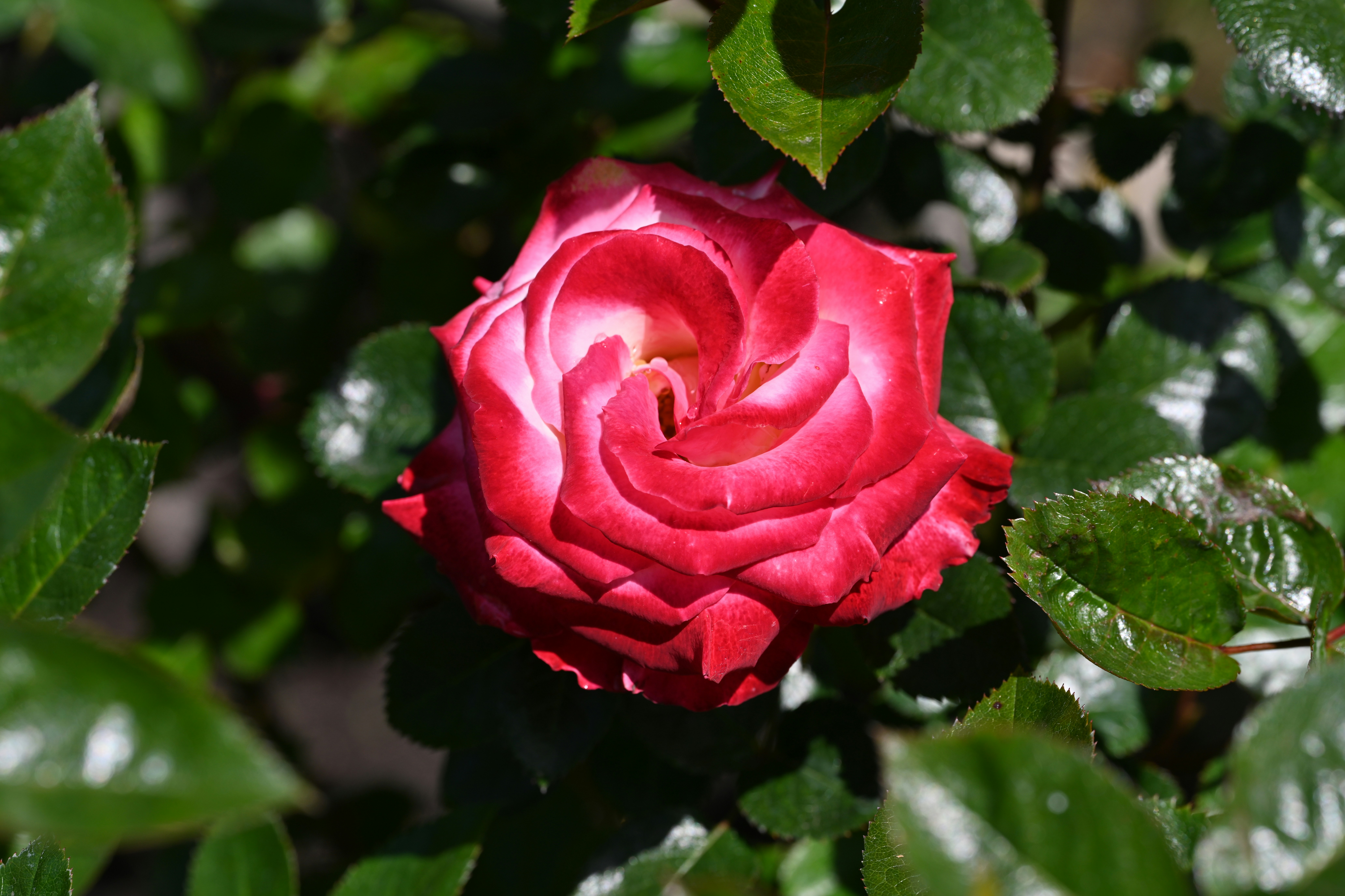 Photo by theunknownaldiaz