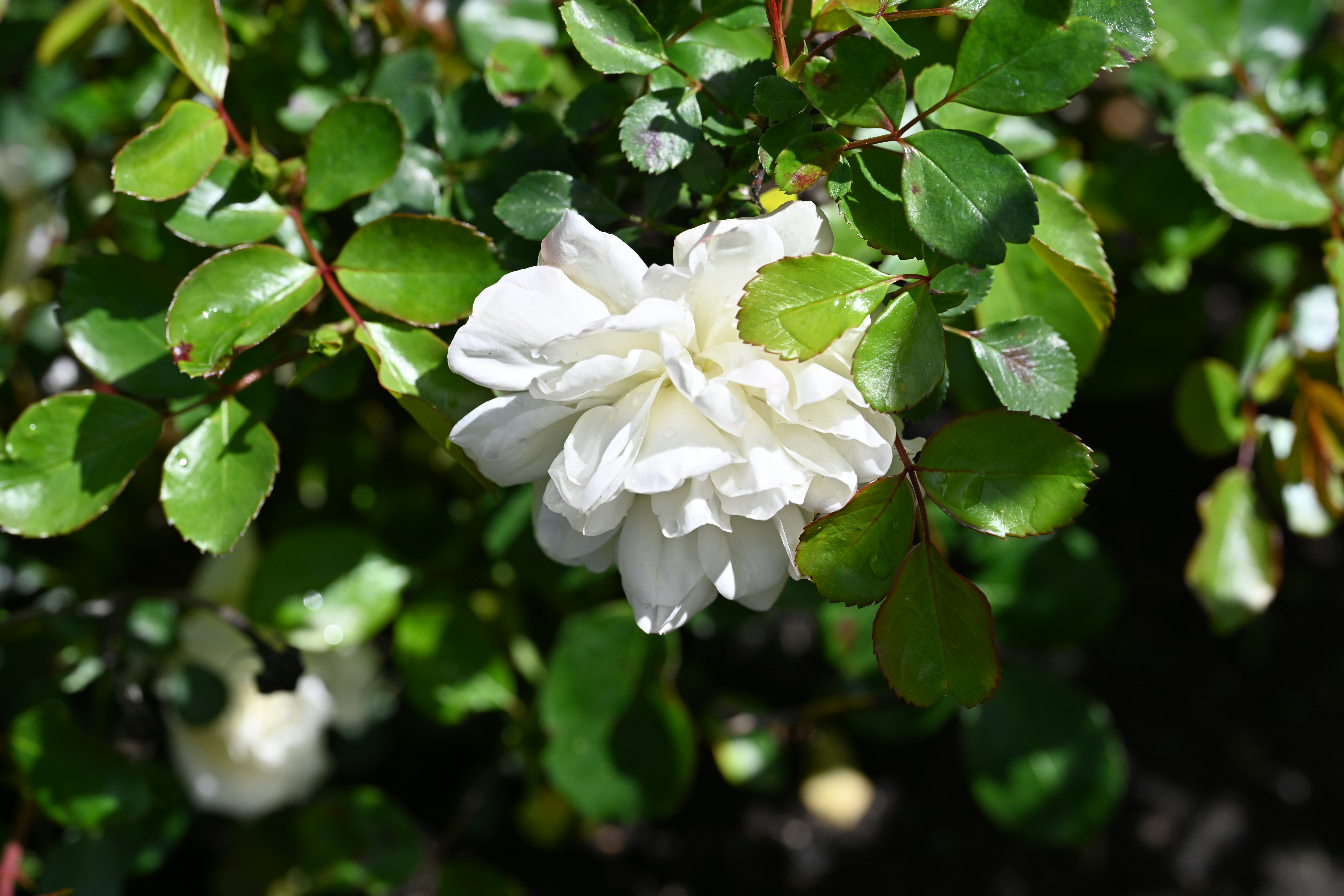 Photo by theunknownaldiaz