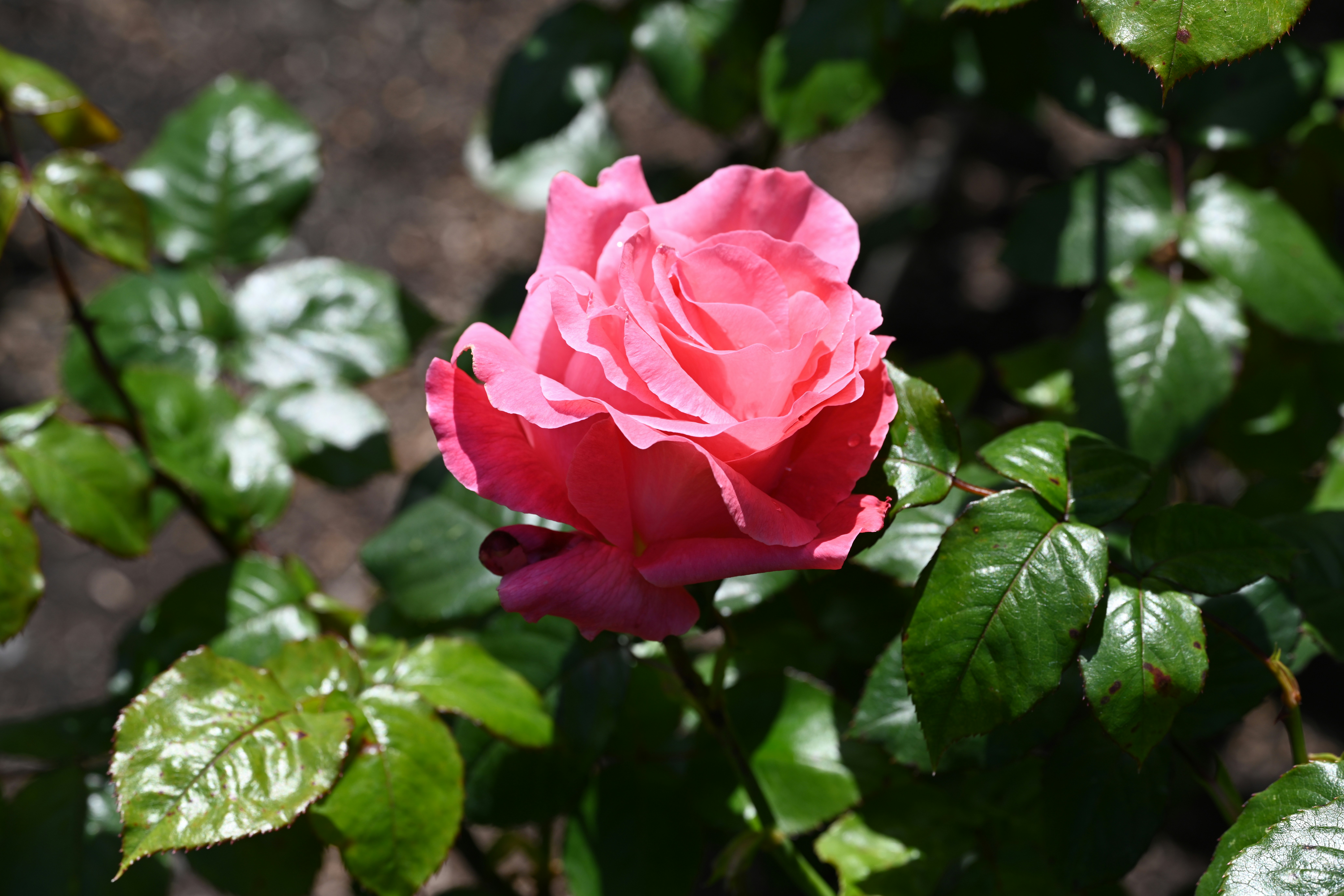 Photo by theunknownaldiaz