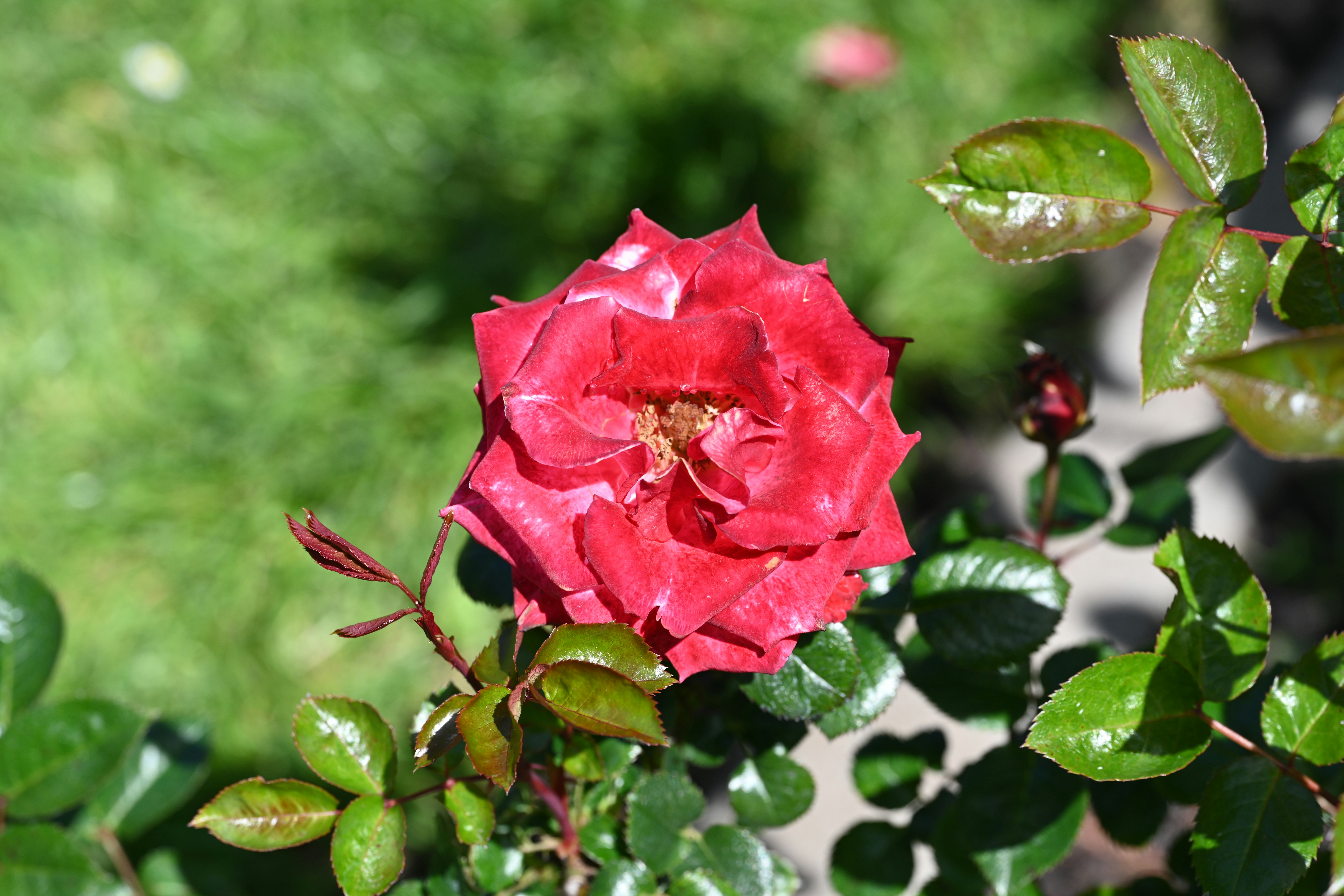 Photo by theunknownaldiaz