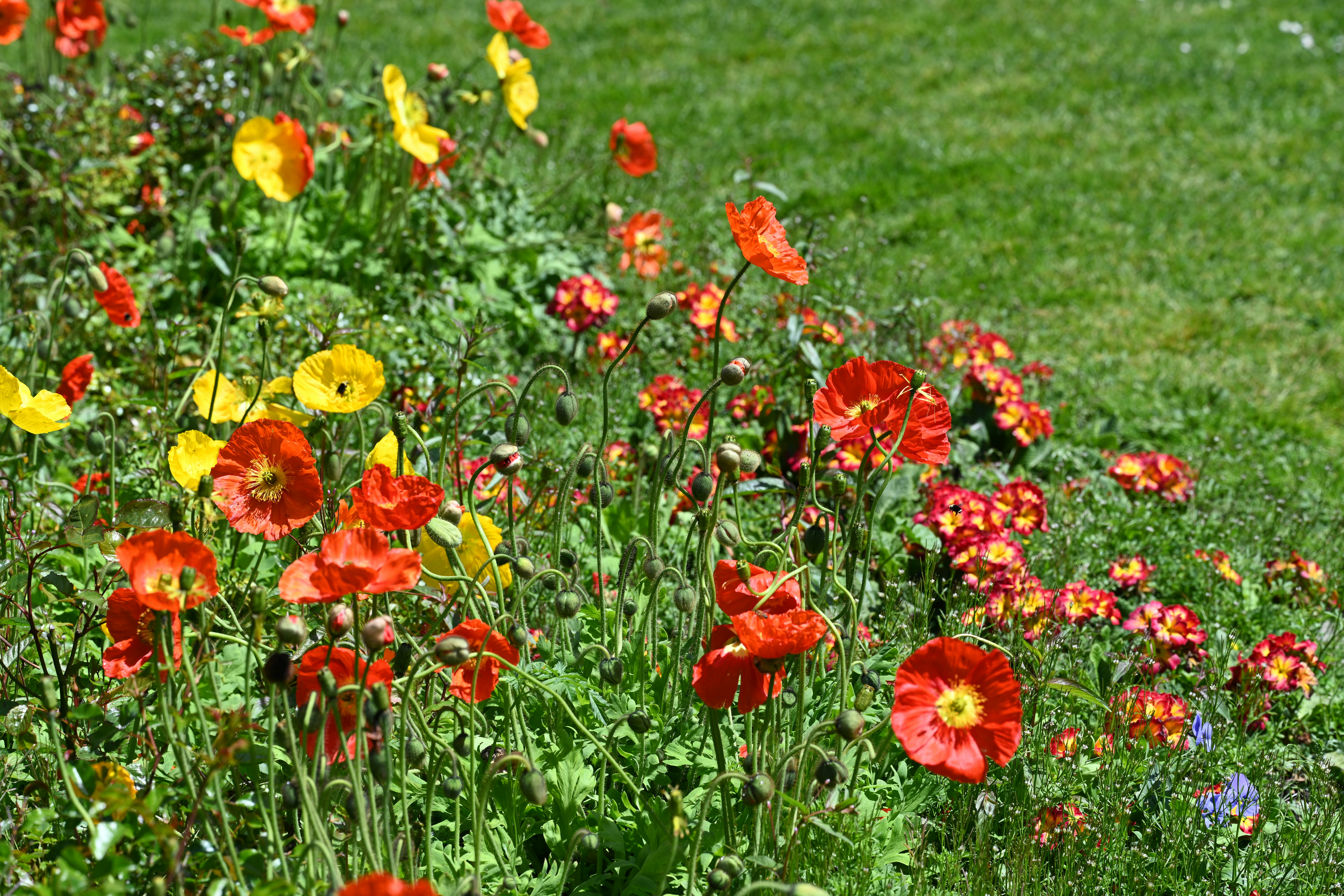 Photo by theunknownaldiaz