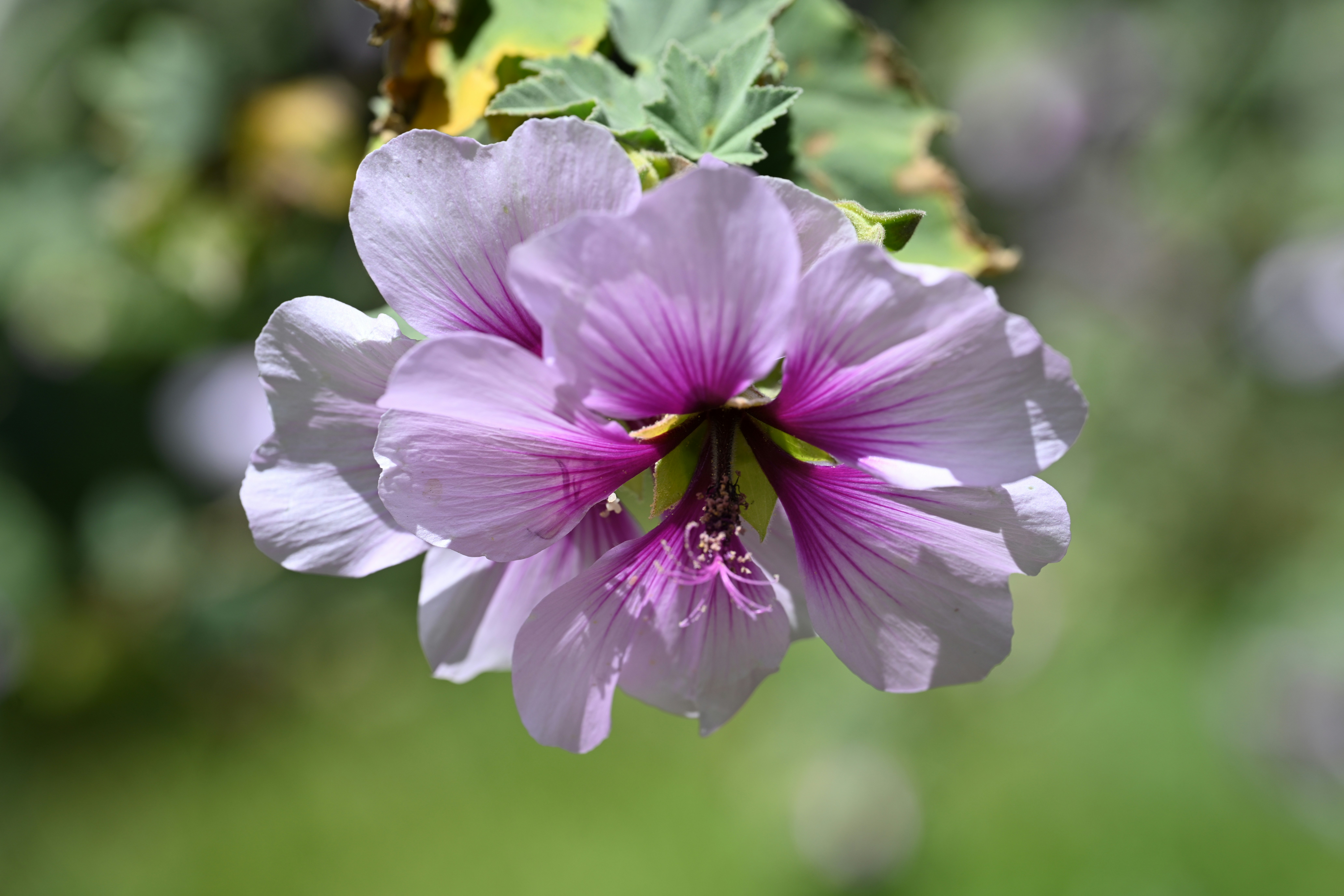 Photo by theunknownaldiaz