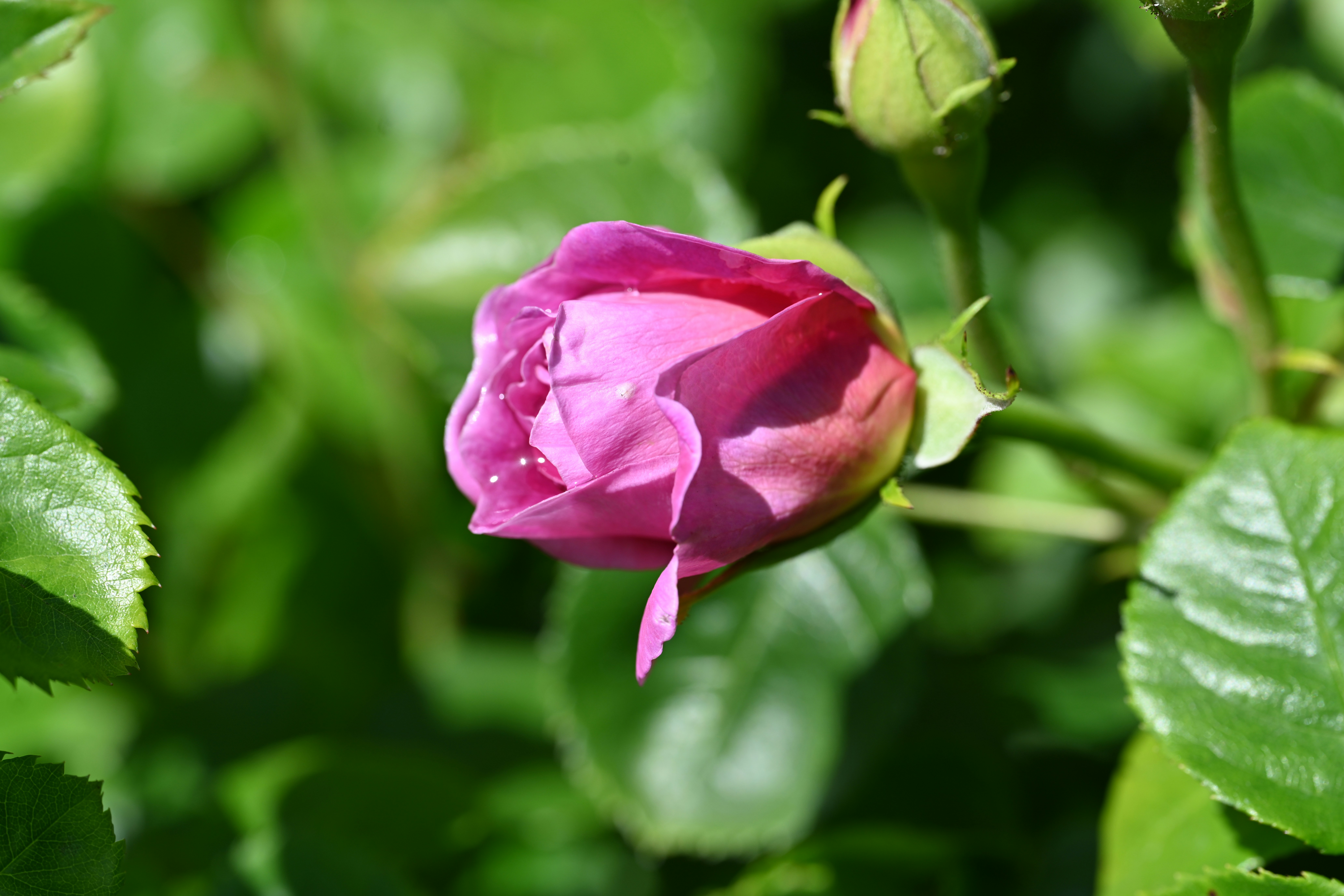 Photo by theunknownaldiaz