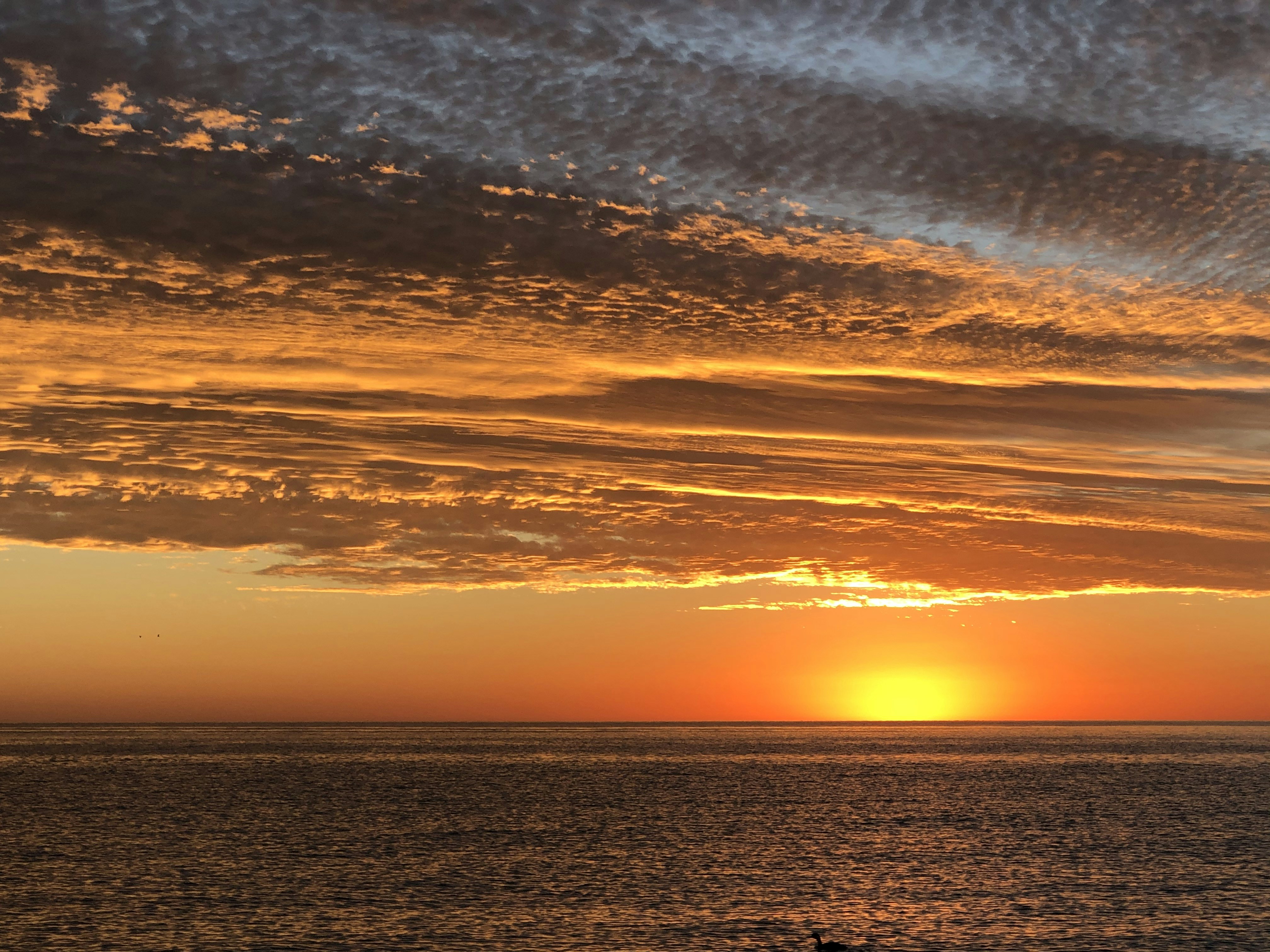 Photo by artofadventure