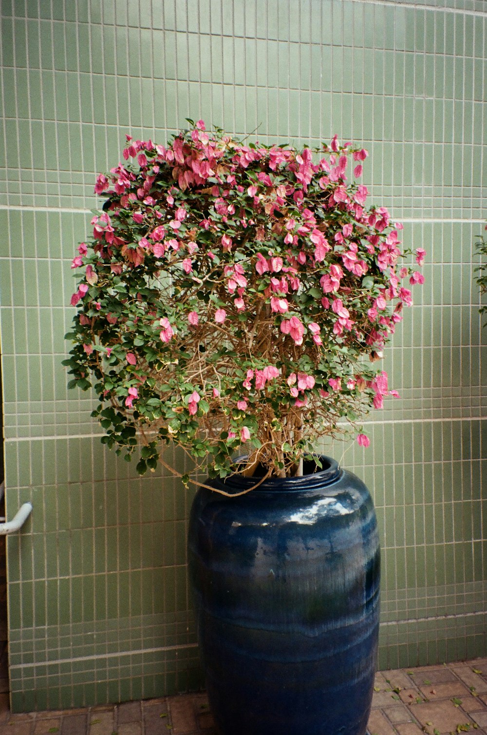 a large blue vase with pink flowers in it