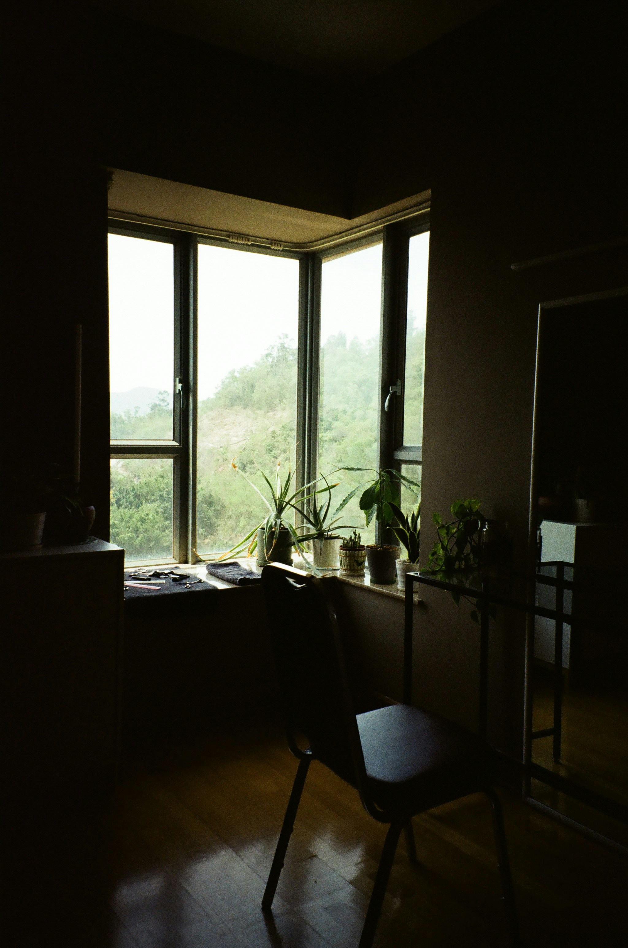 Photo by joelnbora