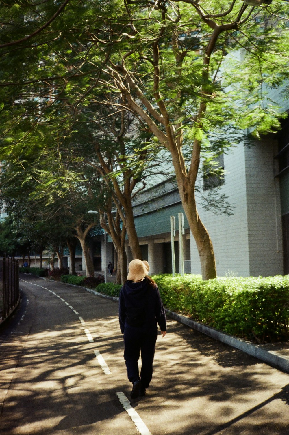 a man walking down a street next to tall trees