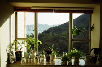 a window with a view of the mountains outside