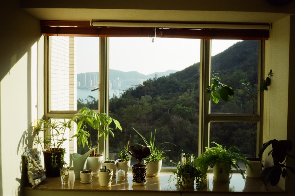 a window with a view of the mountains outside