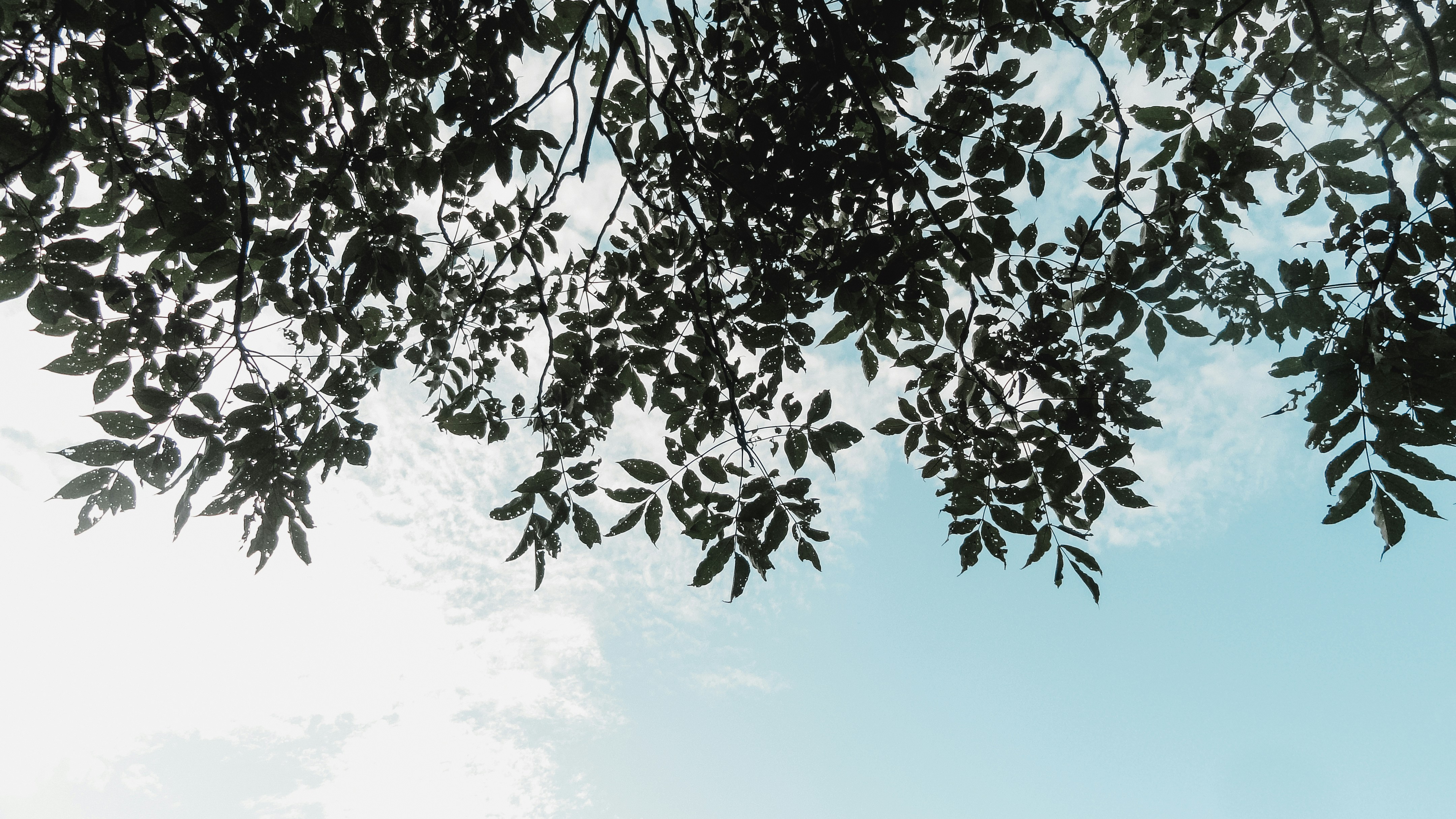 Photo by abhijitchirde