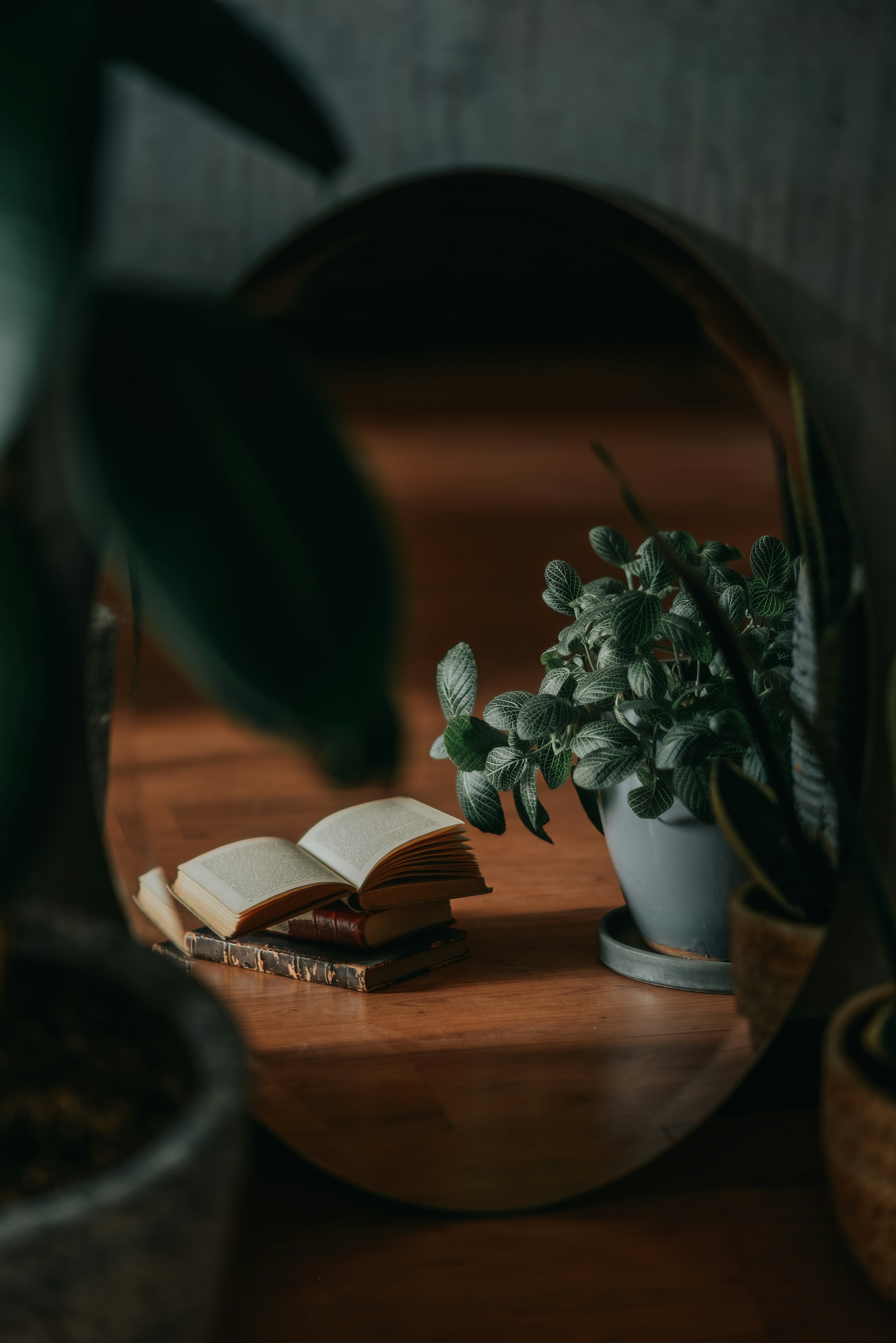 a mirror reflecting a plant and a book on a table