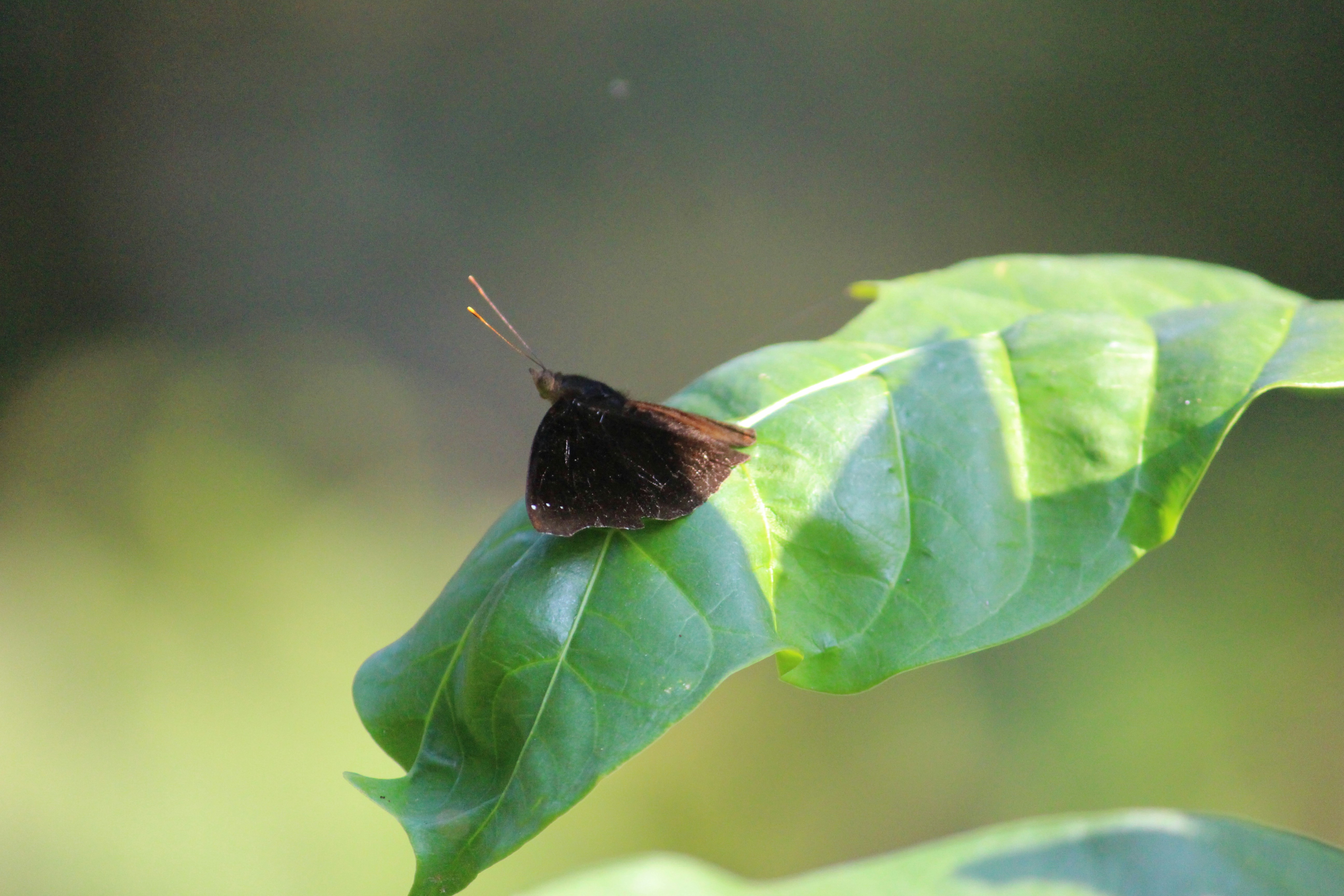 Photo by shridhardixit