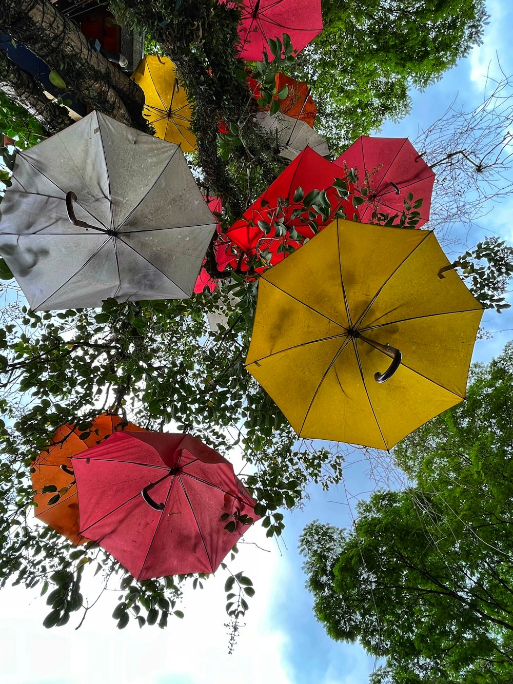 a group of colorful umbrellas hanging from a tree