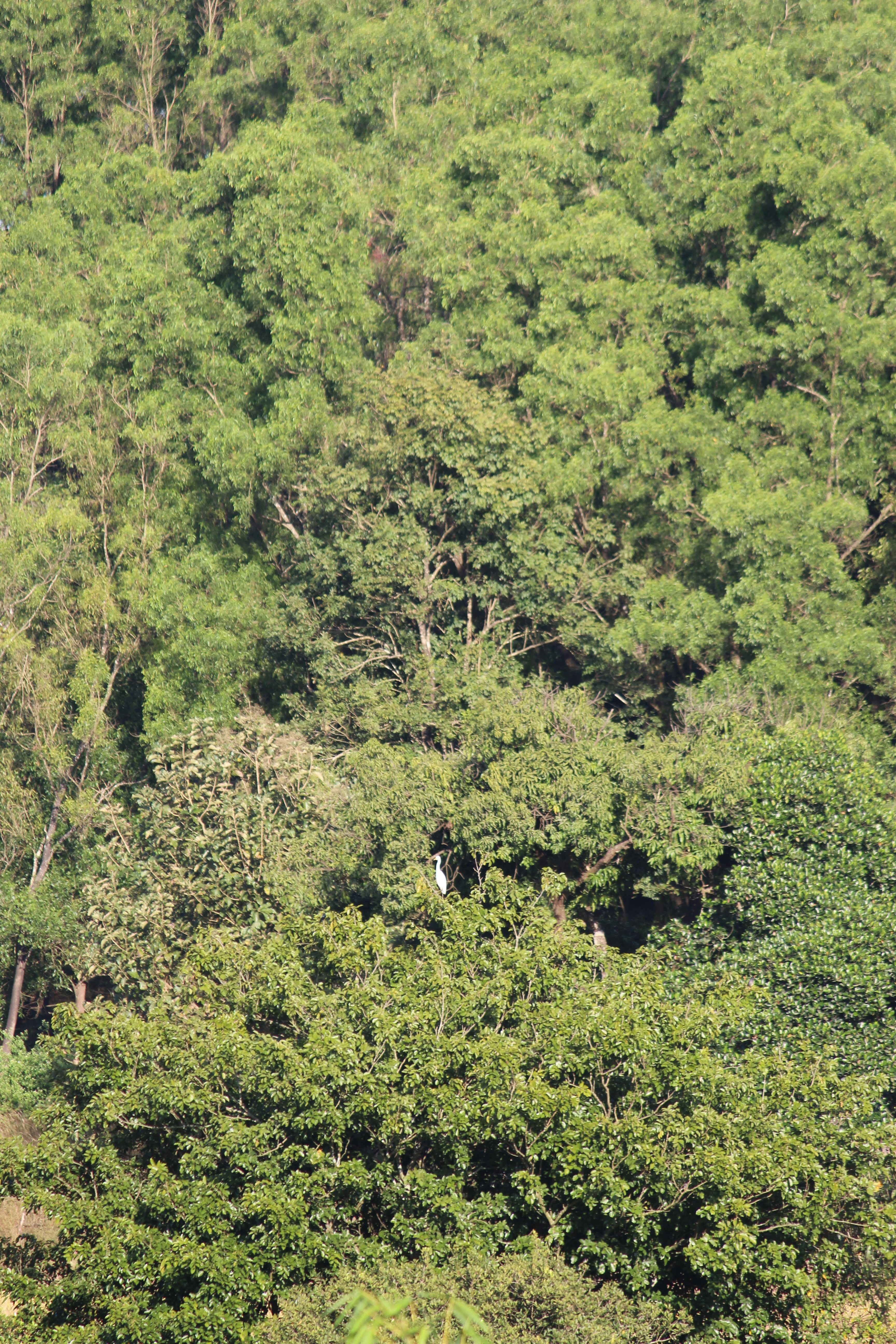 Photo by shridhardixit