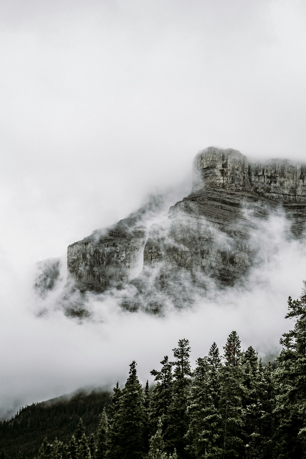 a mountain covered in clouds and trees