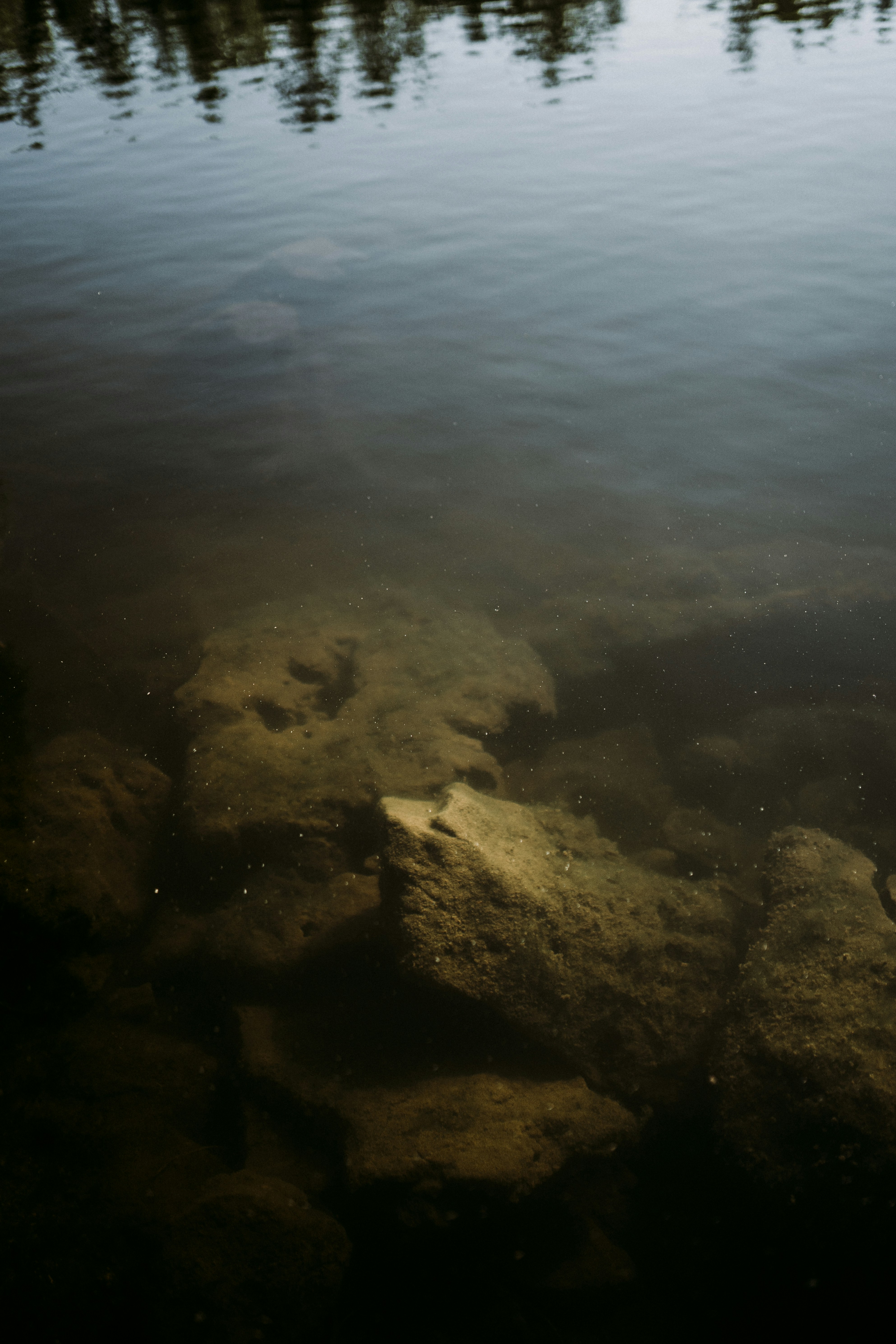 Photo by keithtanman
