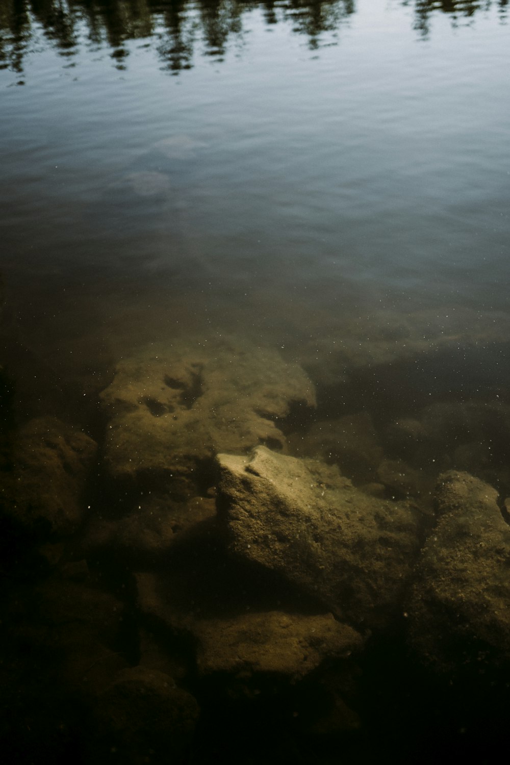 a body of water with rocks in it