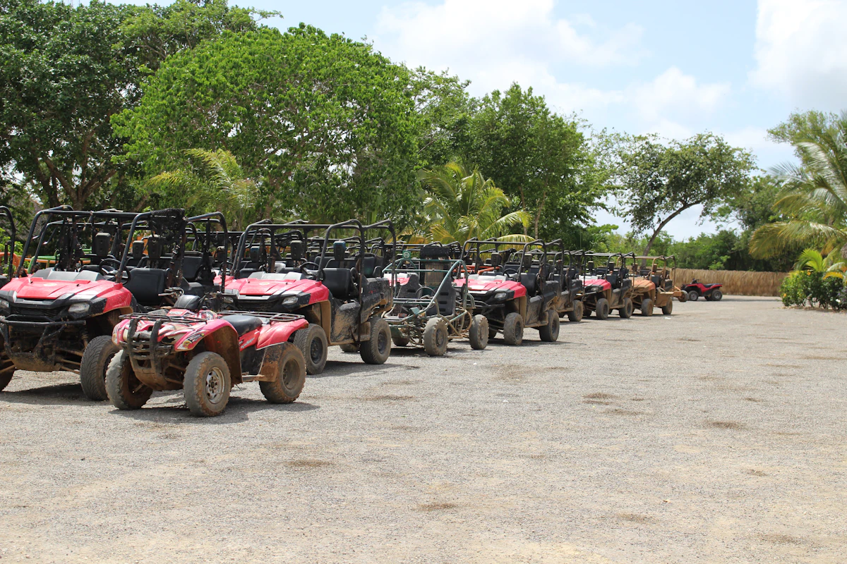 Buggies