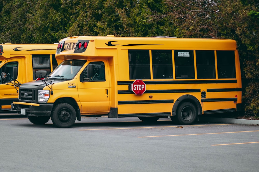 two yellow school buses parked in a parking lot