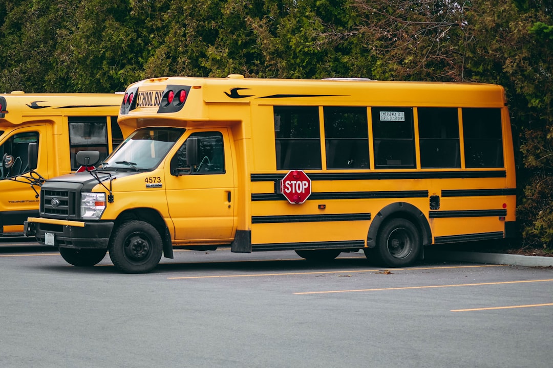 two yellow school buses parked in a parking lot, School bus in Toronto.