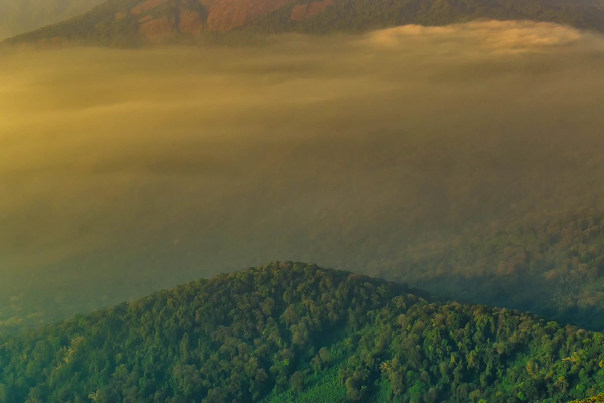 Mist-covered mountain slopes of the Velliangiri Hills near Coimbatore