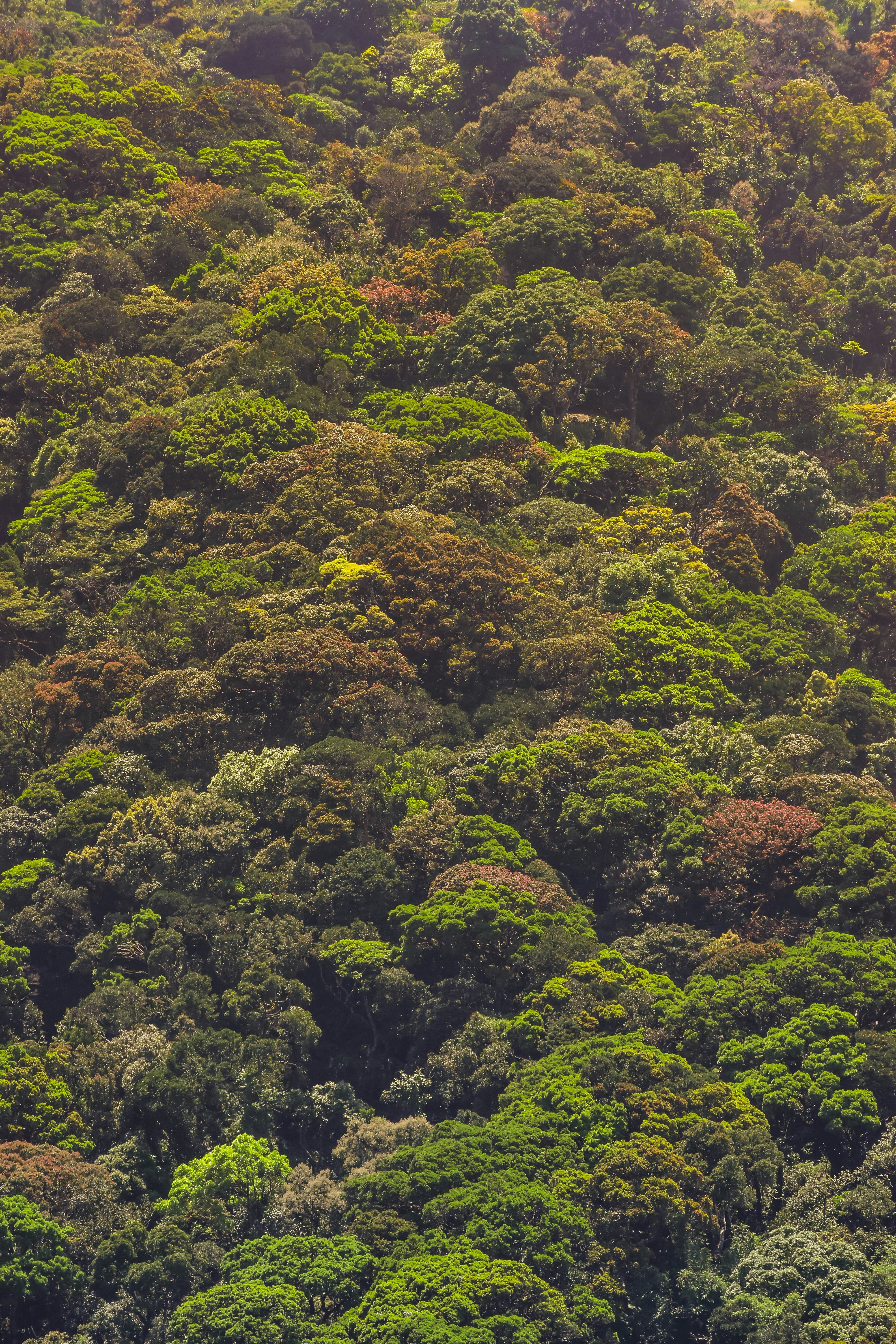 Photo by navi_photography