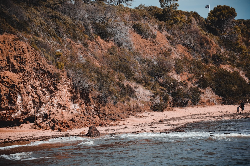 Un par de personas caminando por una playa junto a un acantilado