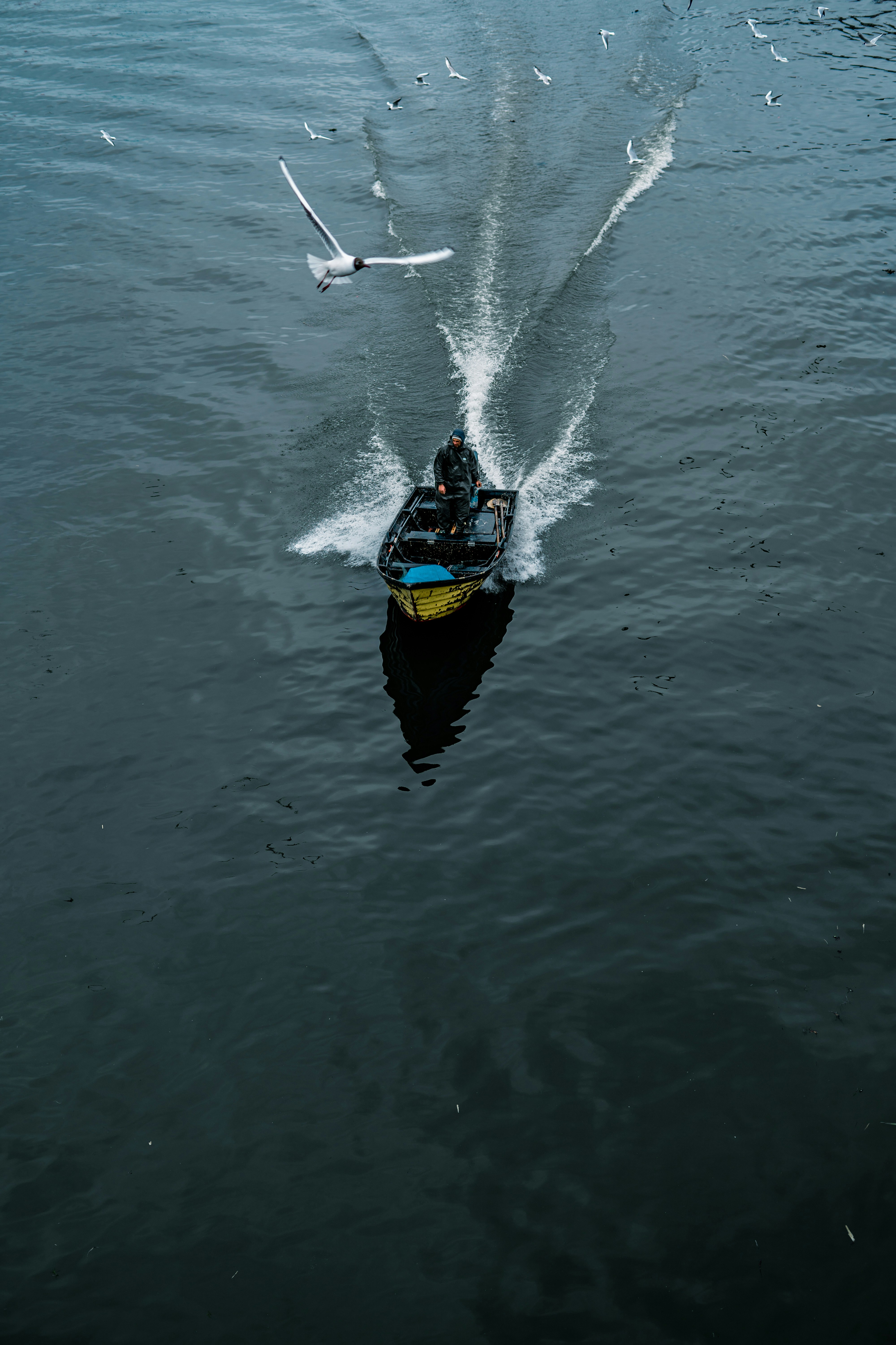 Photo by pouyahajibagheri