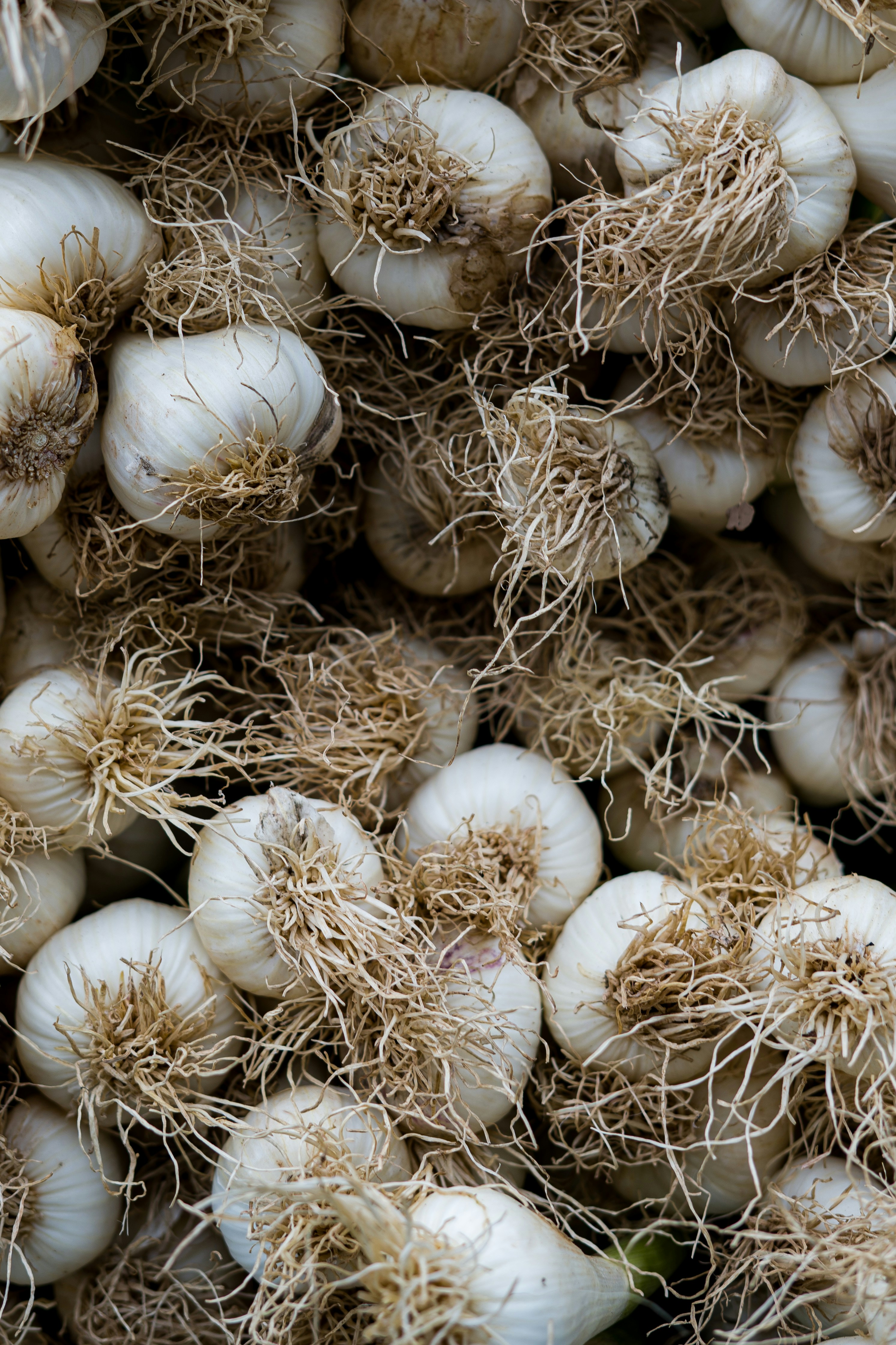 Photo by pouyahajibagheri