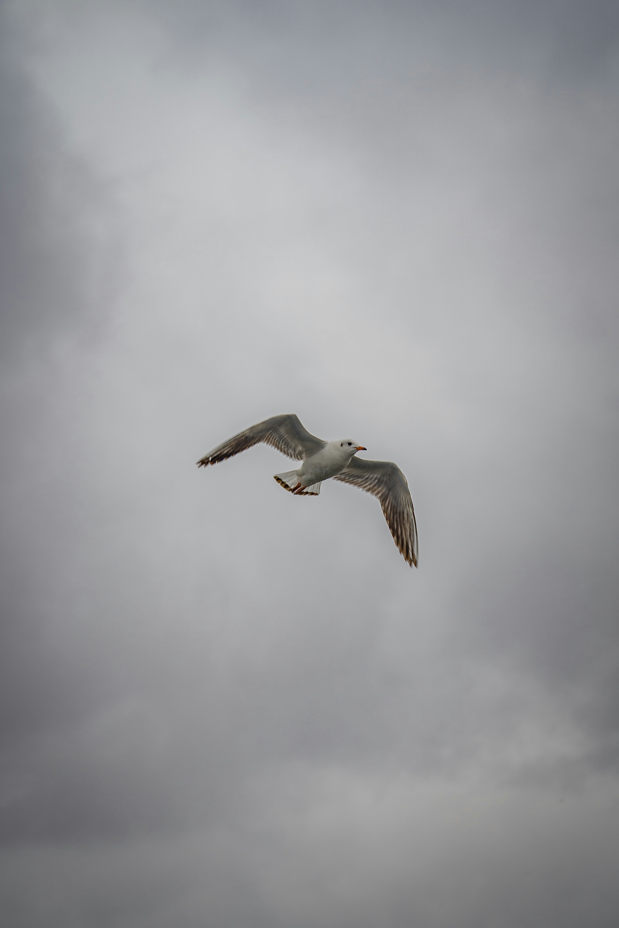 Photo by pouyahajibagheri