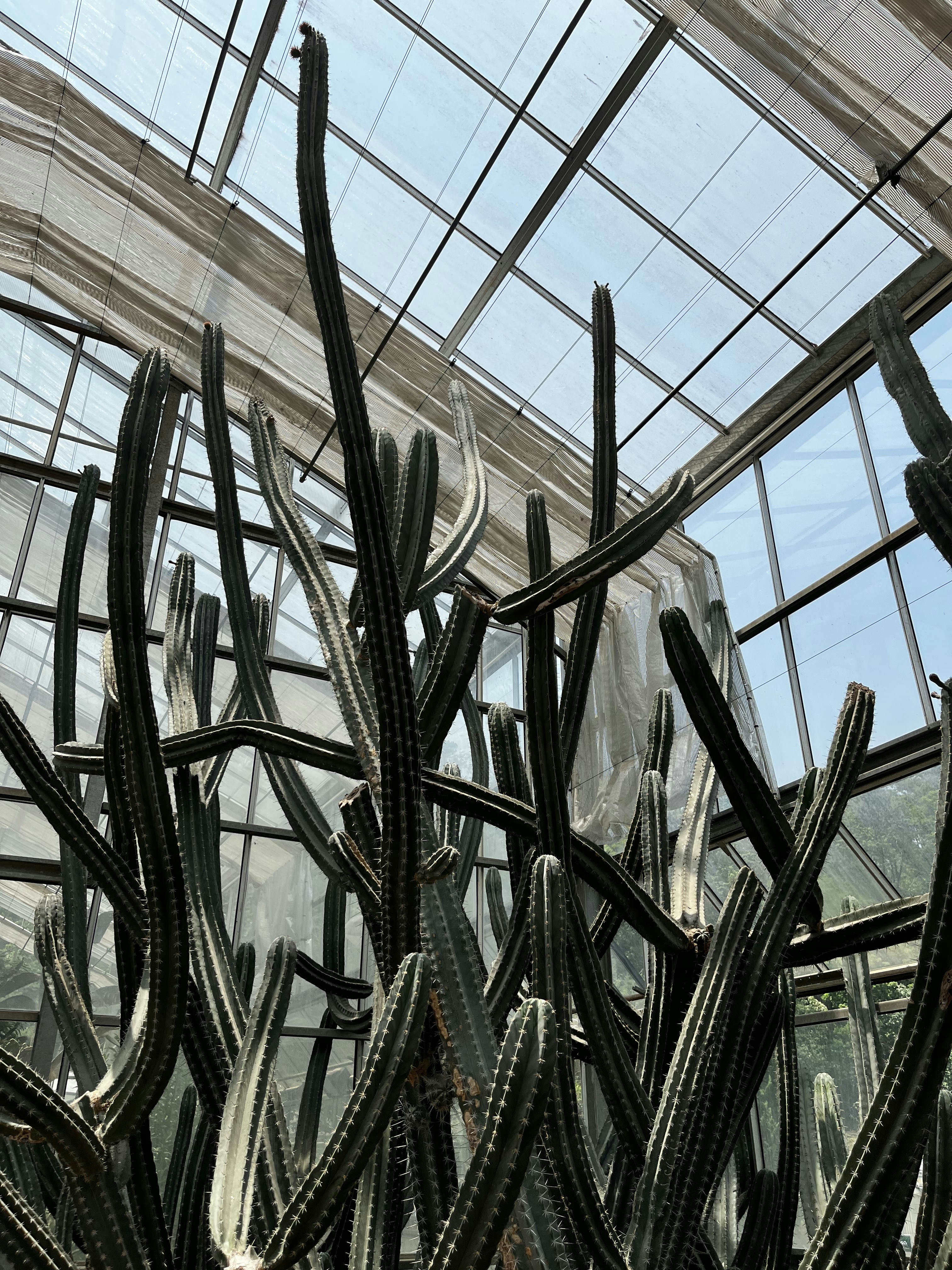 Photo by nyyyyyuan