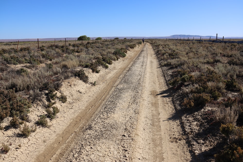 a dirt road in the middle of a desert