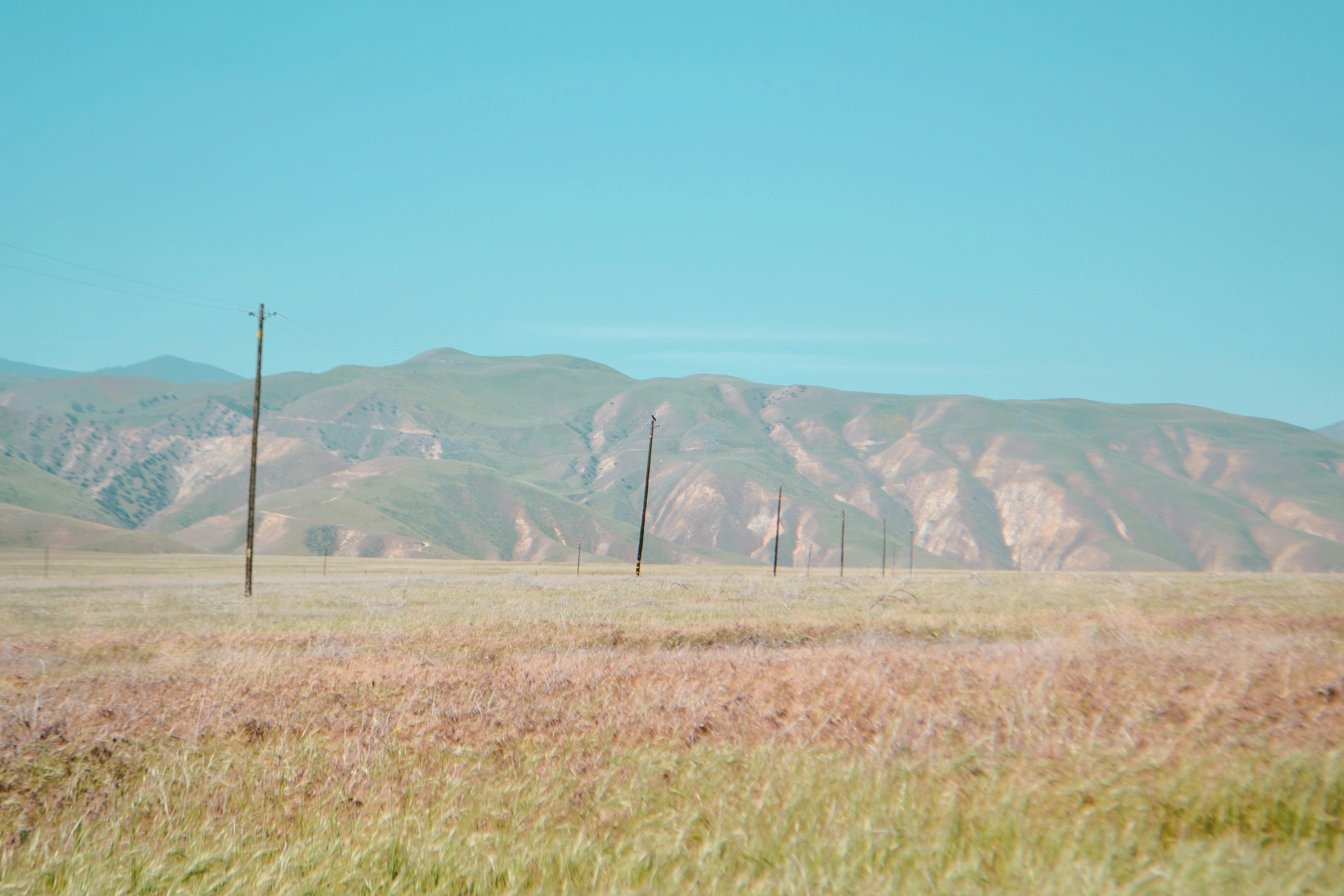 Photo by punkrockhippy_