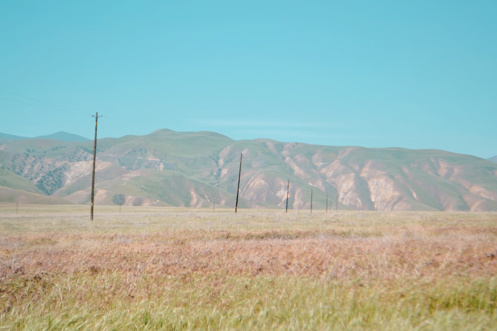 a grassy field with mountains in the background