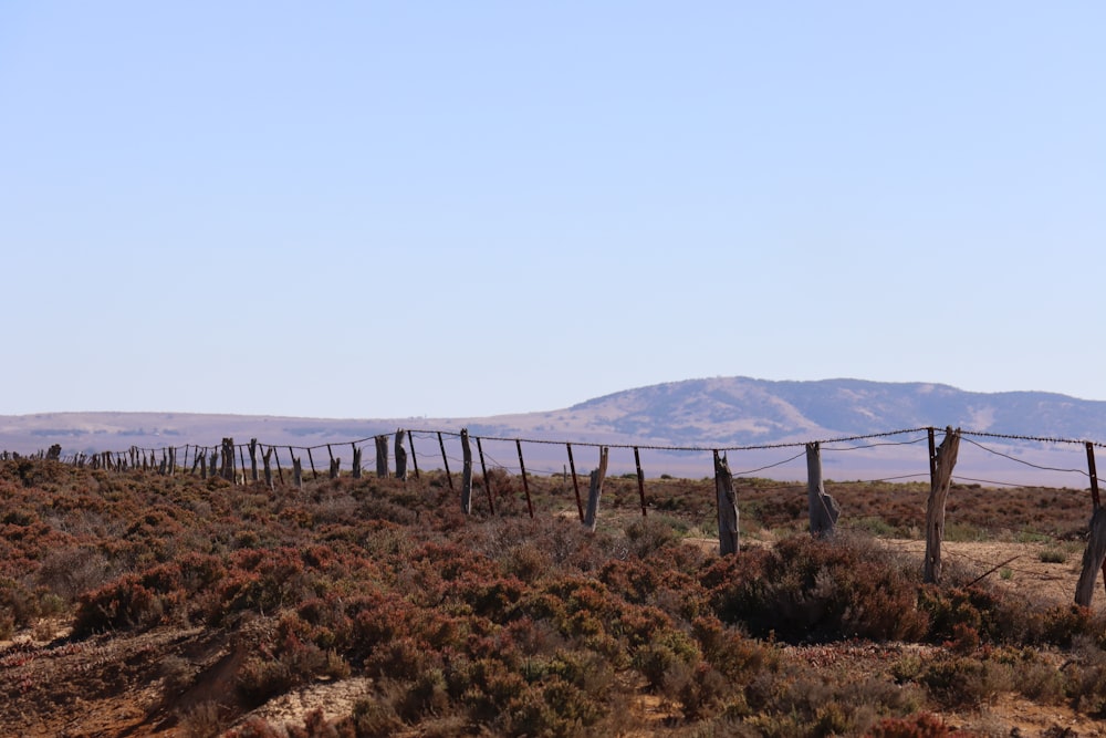 uma cerca em um campo com montanhas no fundo