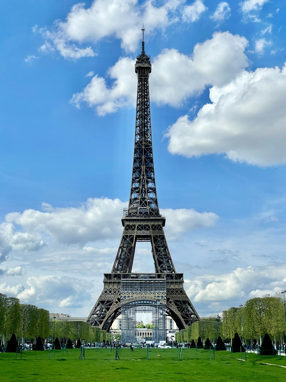 the eiffel tower towering over a lush green park