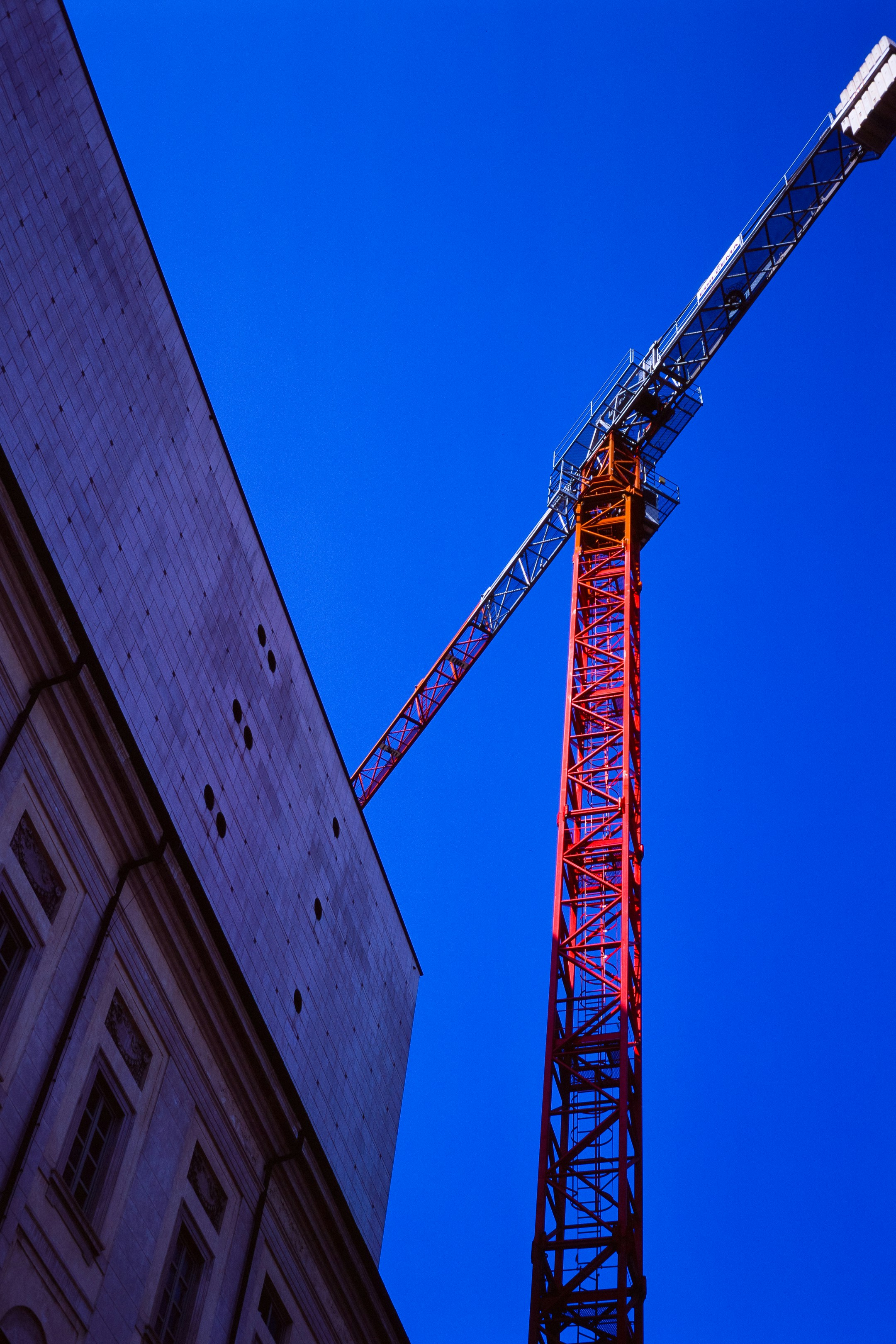 Lamb in Frascati Wine (Abbacchio alla Cacciatora)
