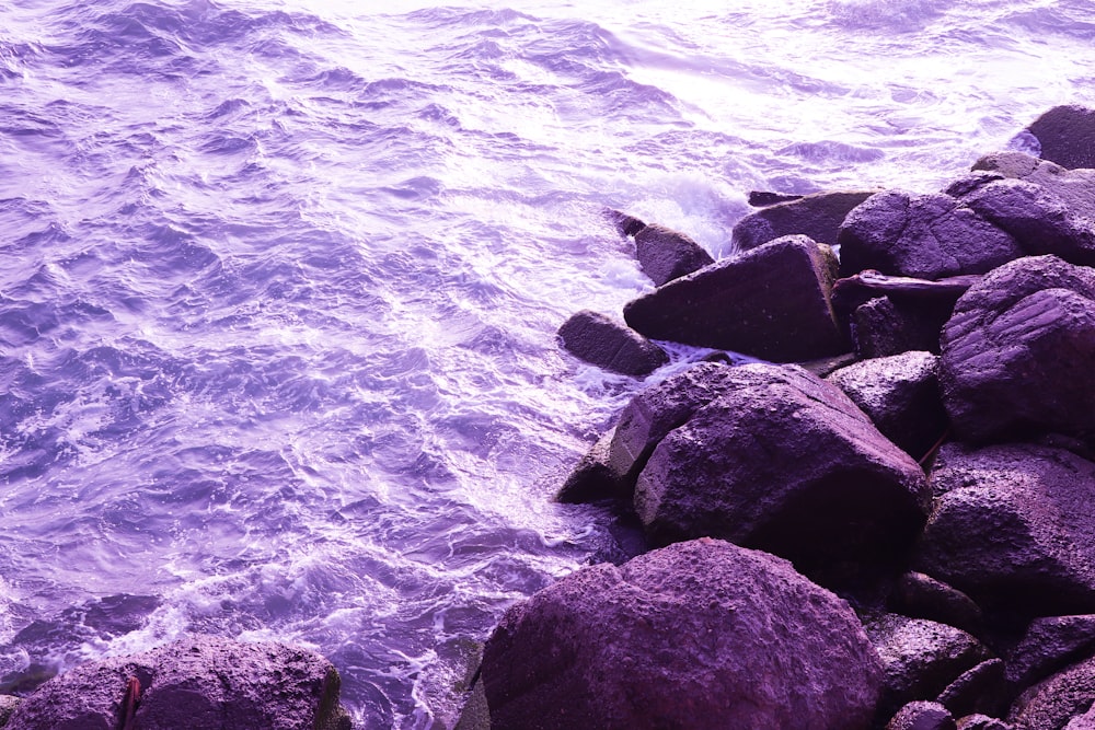 um monte de rochas que estão na água