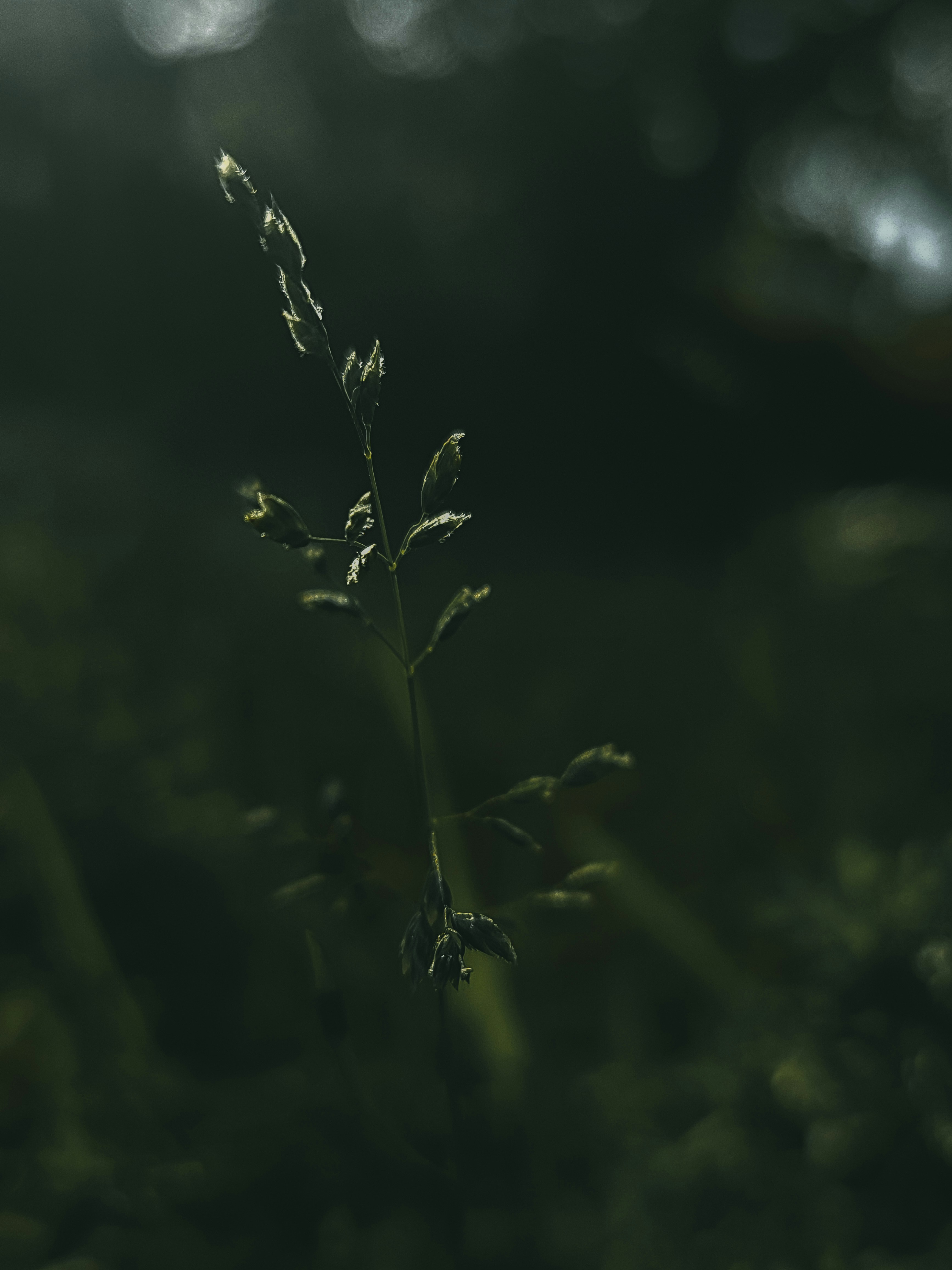 Photo by devinthewild