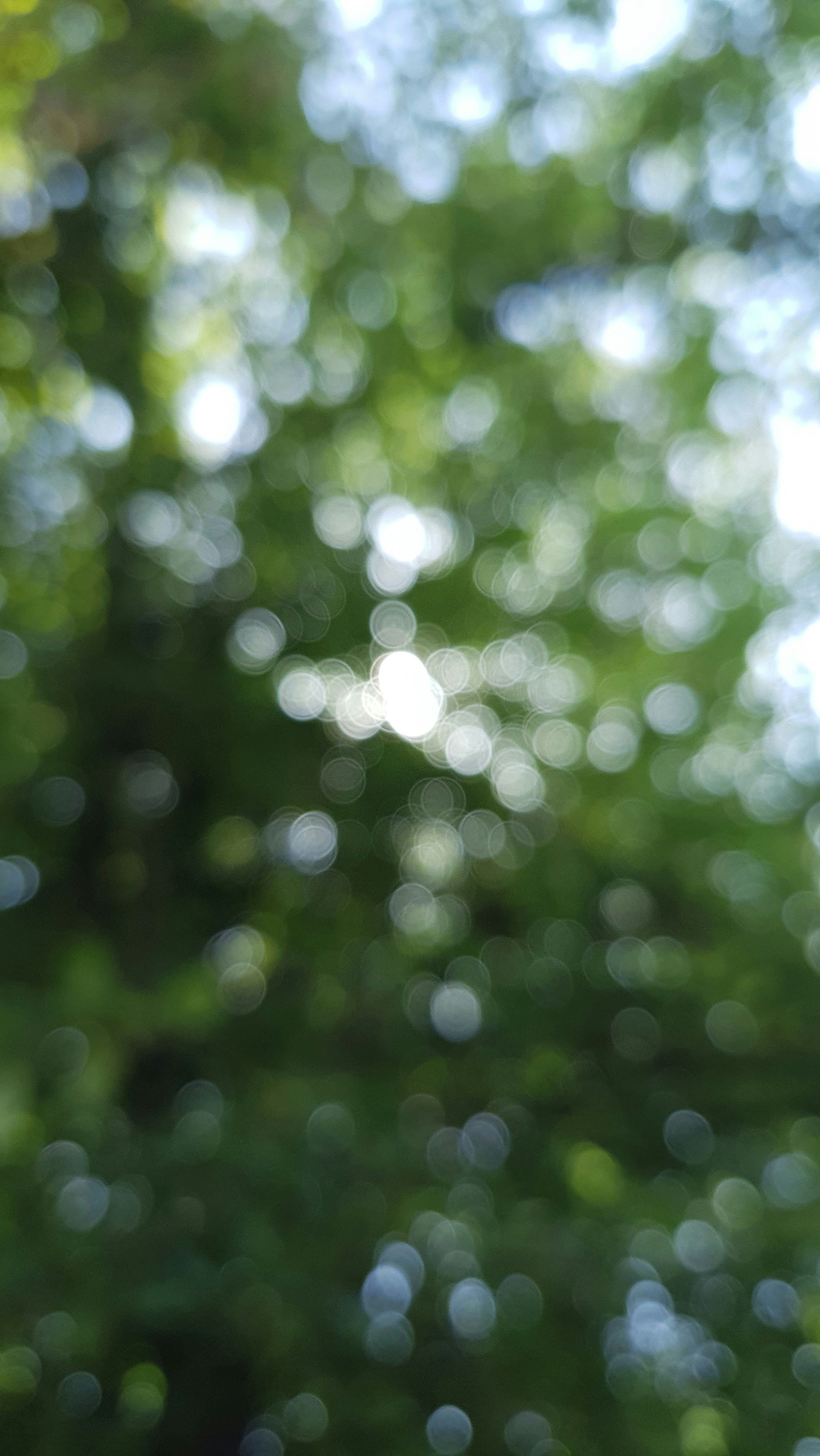 Photo by devinthewild