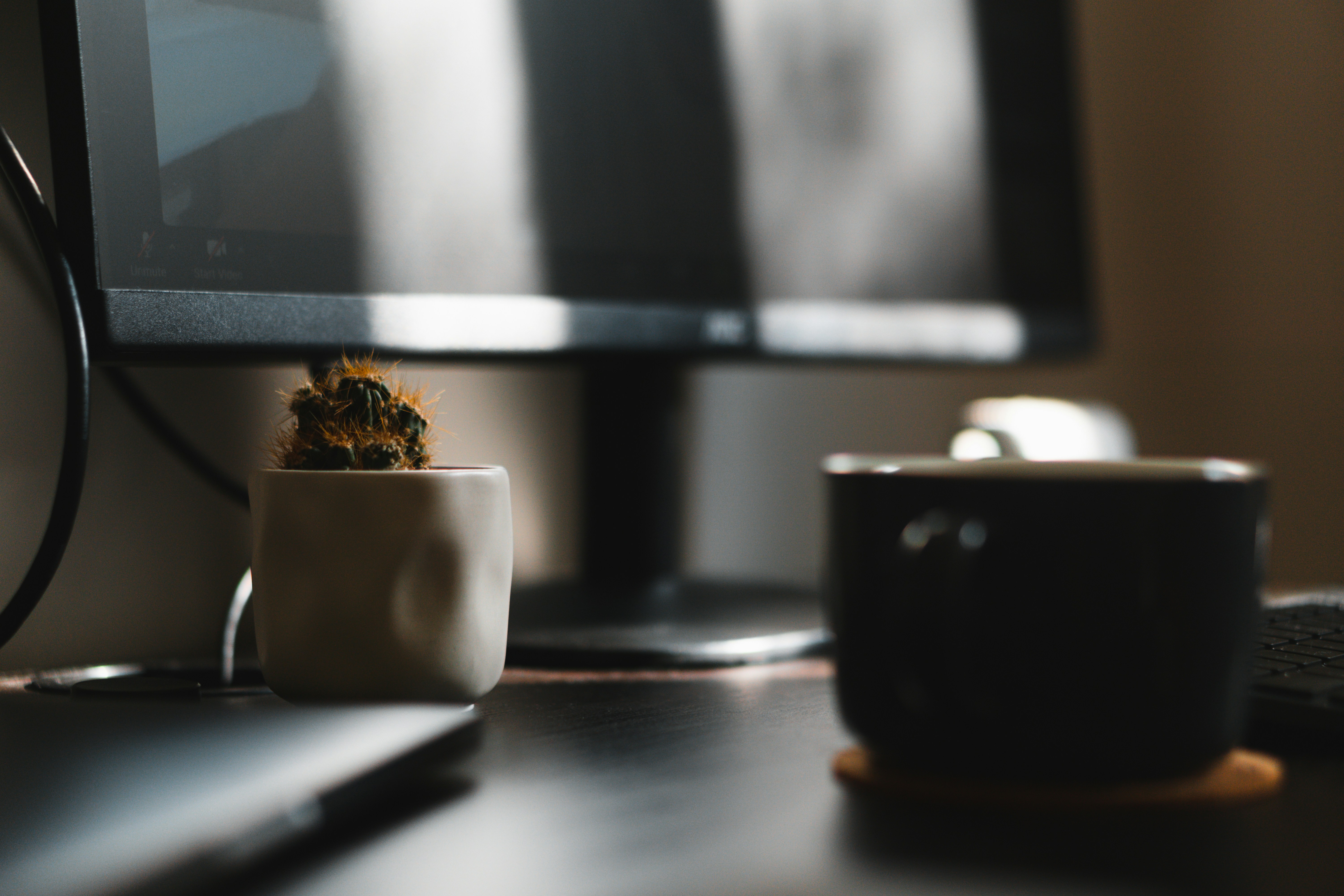 Photo by contentbyemile