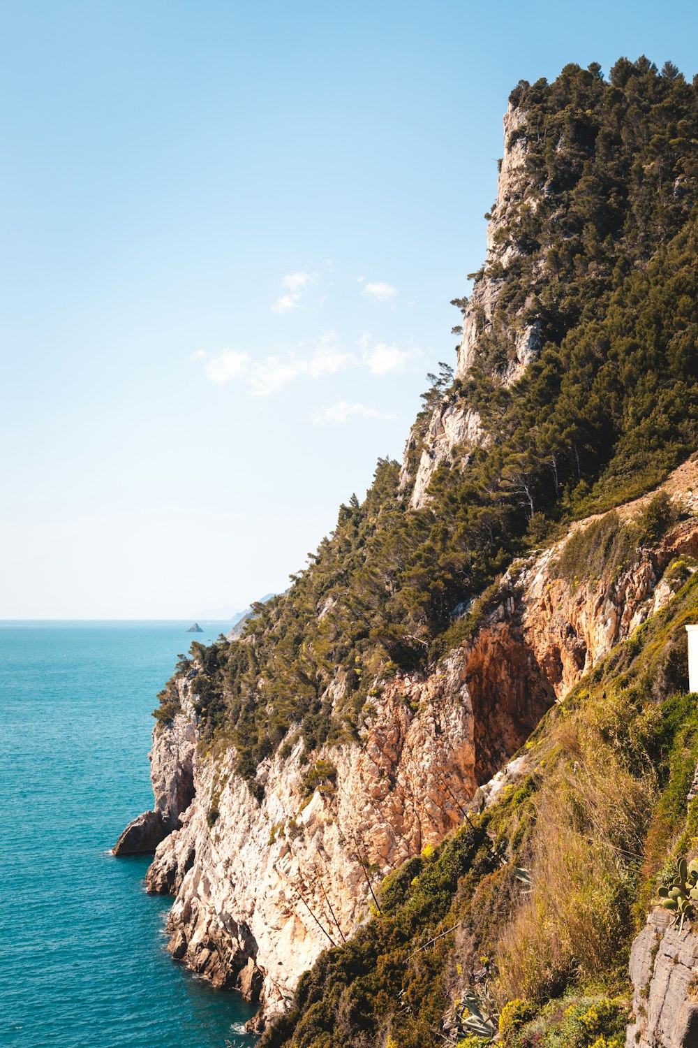 a rocky cliff with a body of water in the background