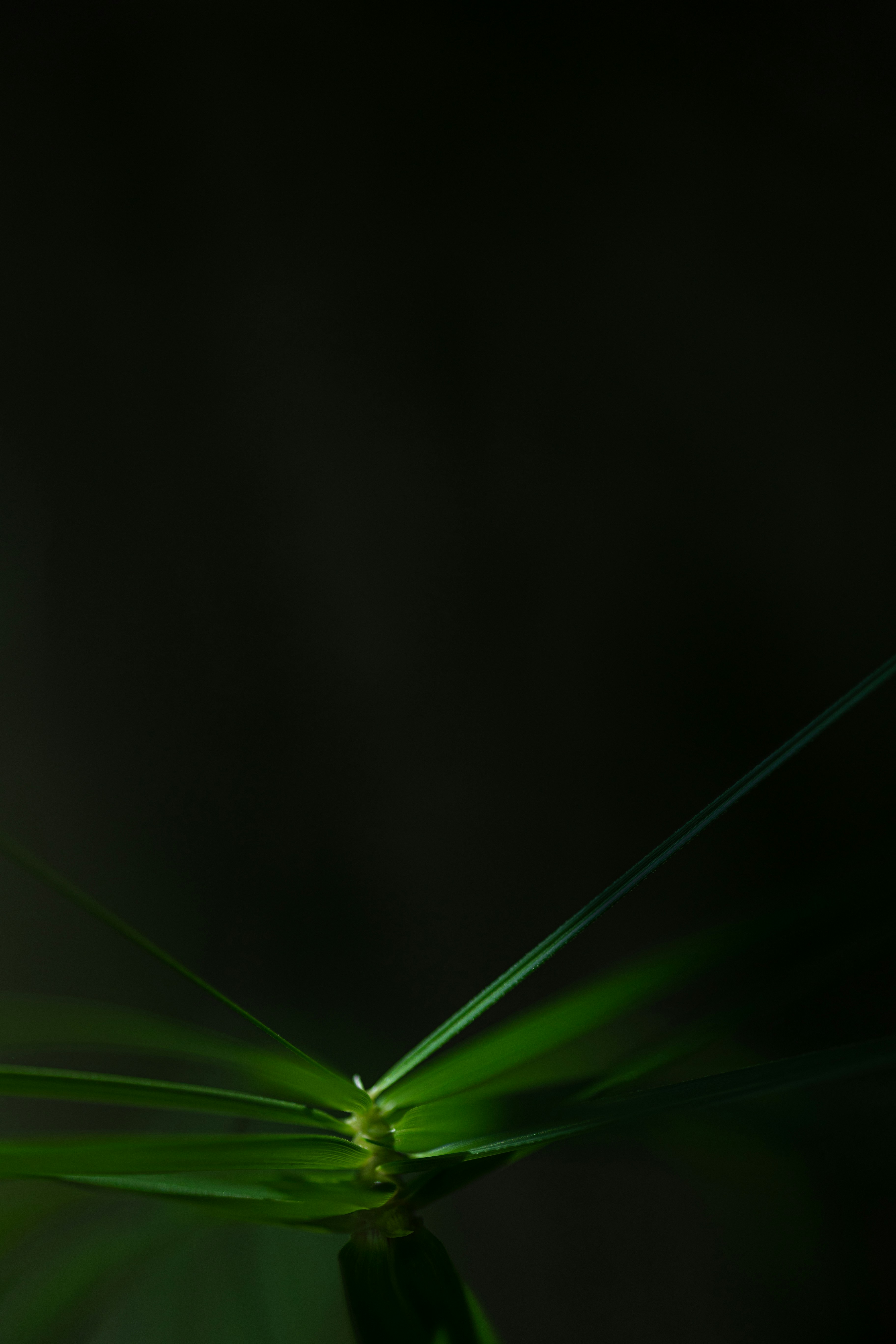 Photo by alex_gruber