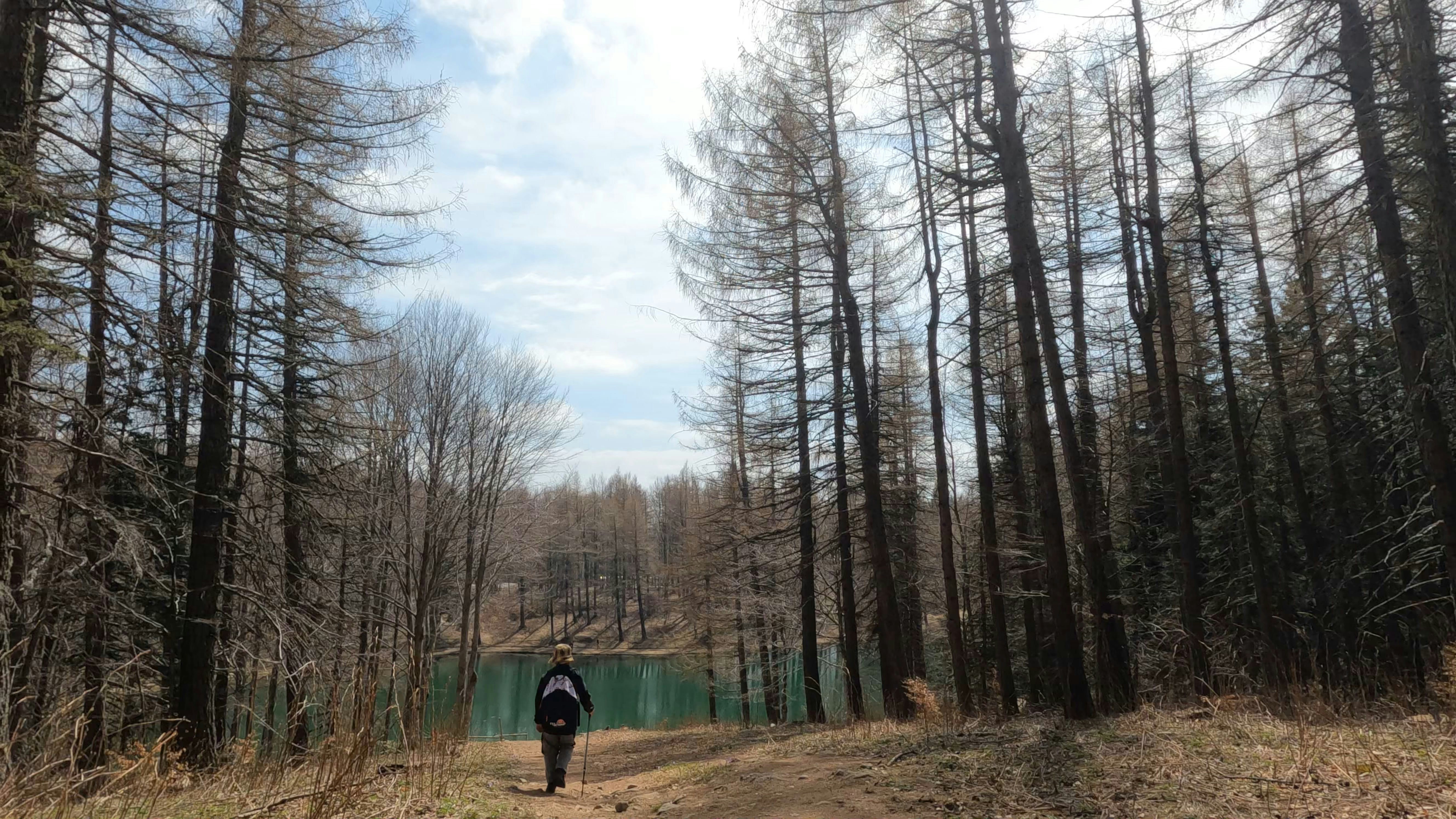 a person walking down a path in the woods