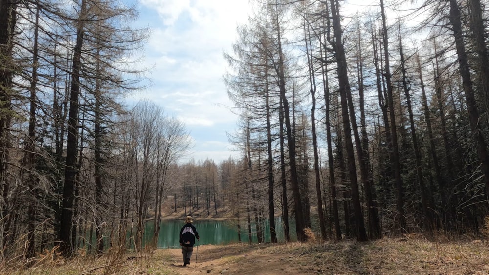 a person walking down a path in the woods