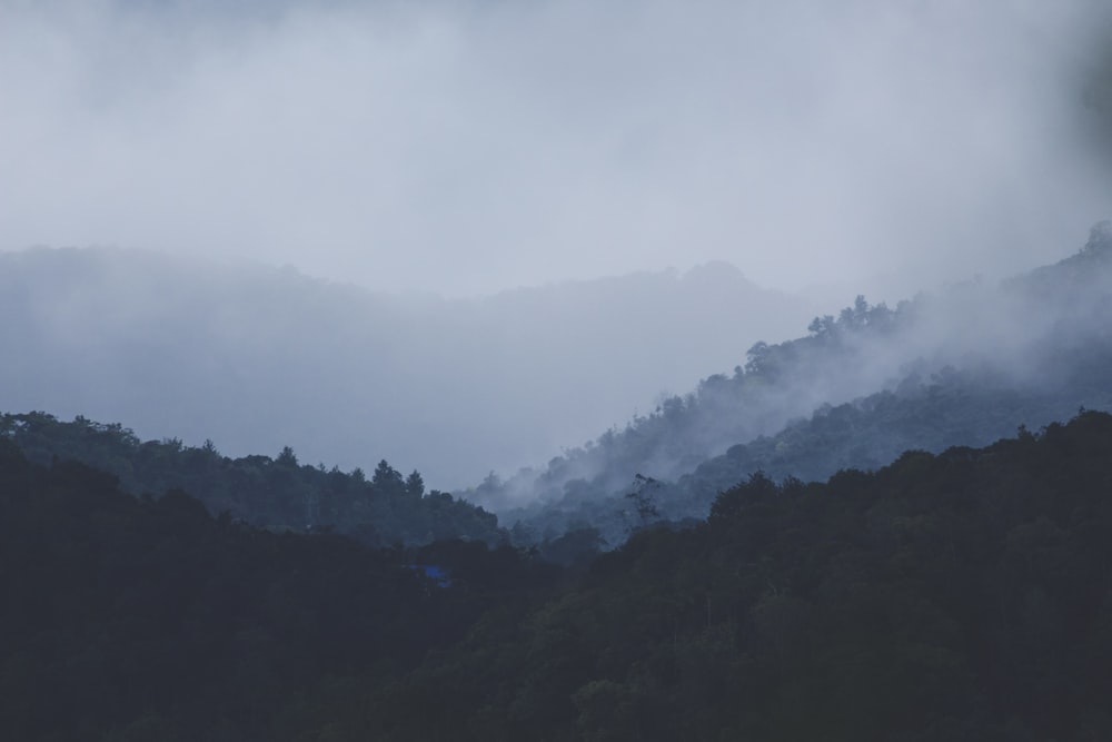 a mountain covered in fog and low clouds