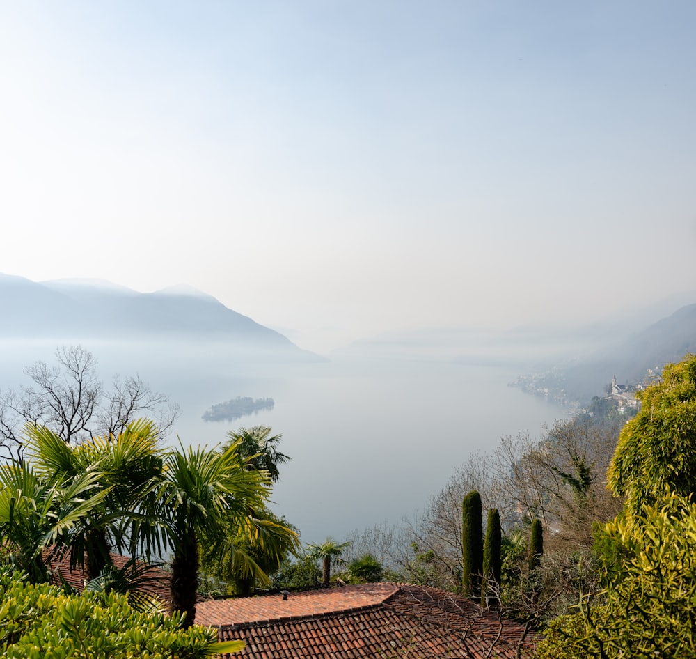 a view of a body of water from a hill