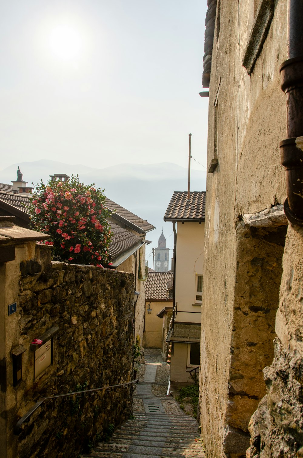 a narrow street with a stone wall and flowers growing on it