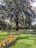 A large tree stands prominently in a well-maintained garden. The foreground features neatly arranged flower beds with numerous orange flowers blooming. Bright green grass covers the ground, and a dense hedge borders the area in the background, adding to the lush greenery.